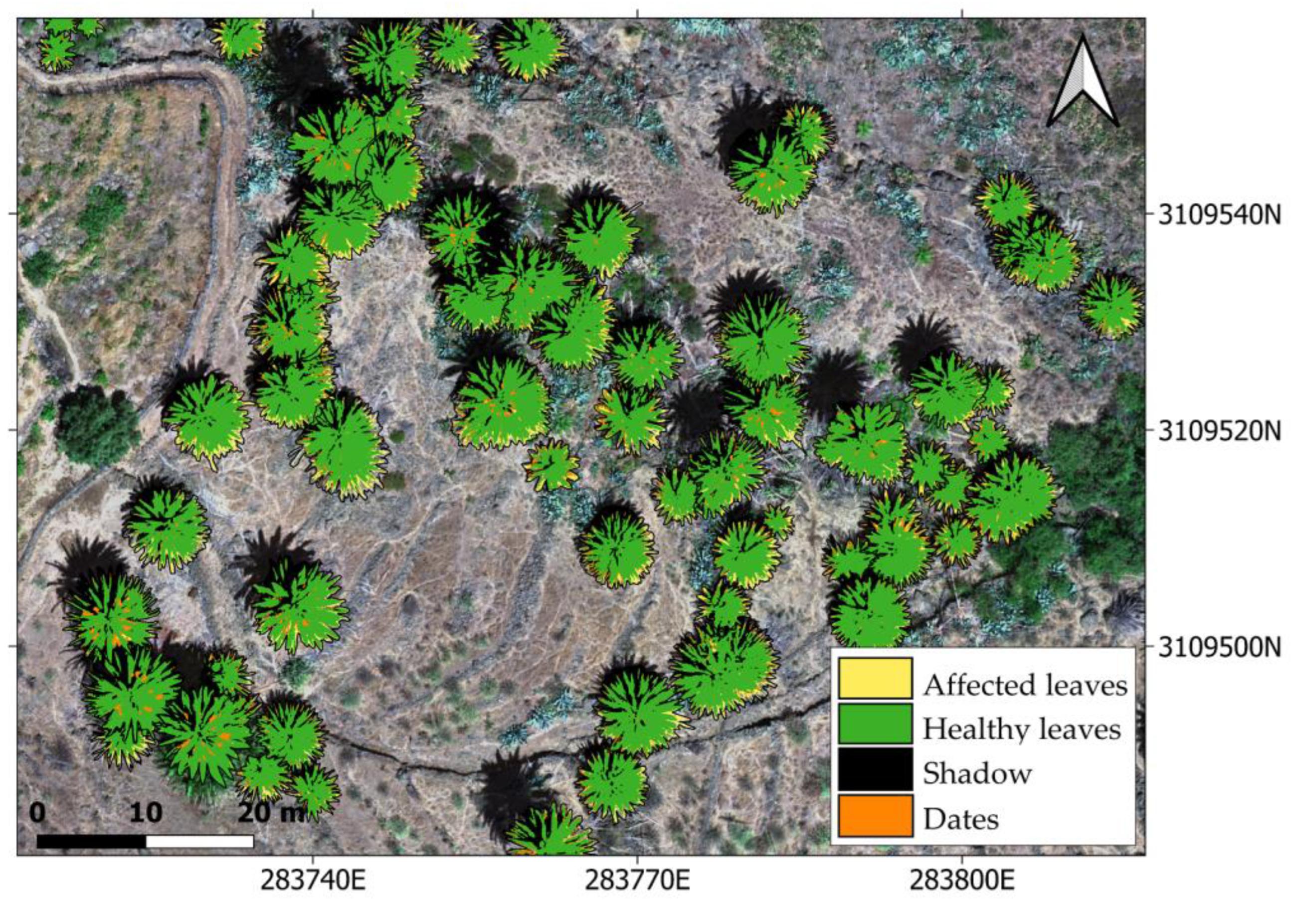 Remotesensing 15 03584 g005