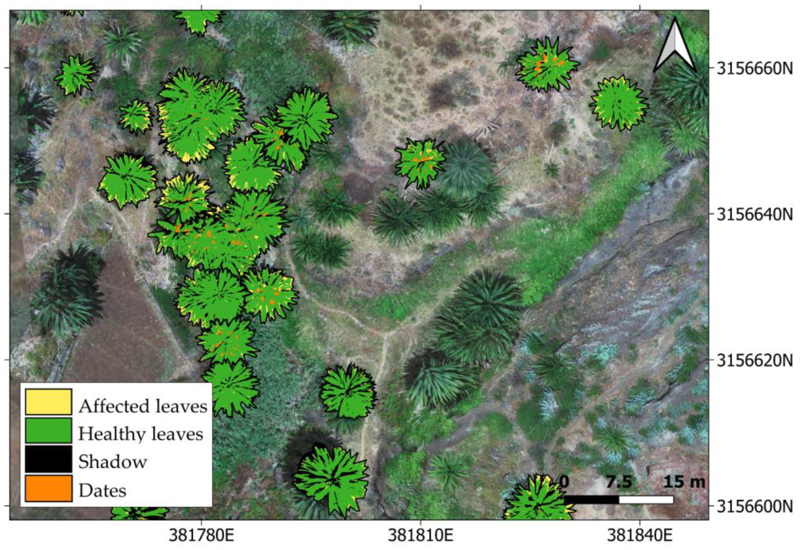 Remotesensing 15 03584 g006