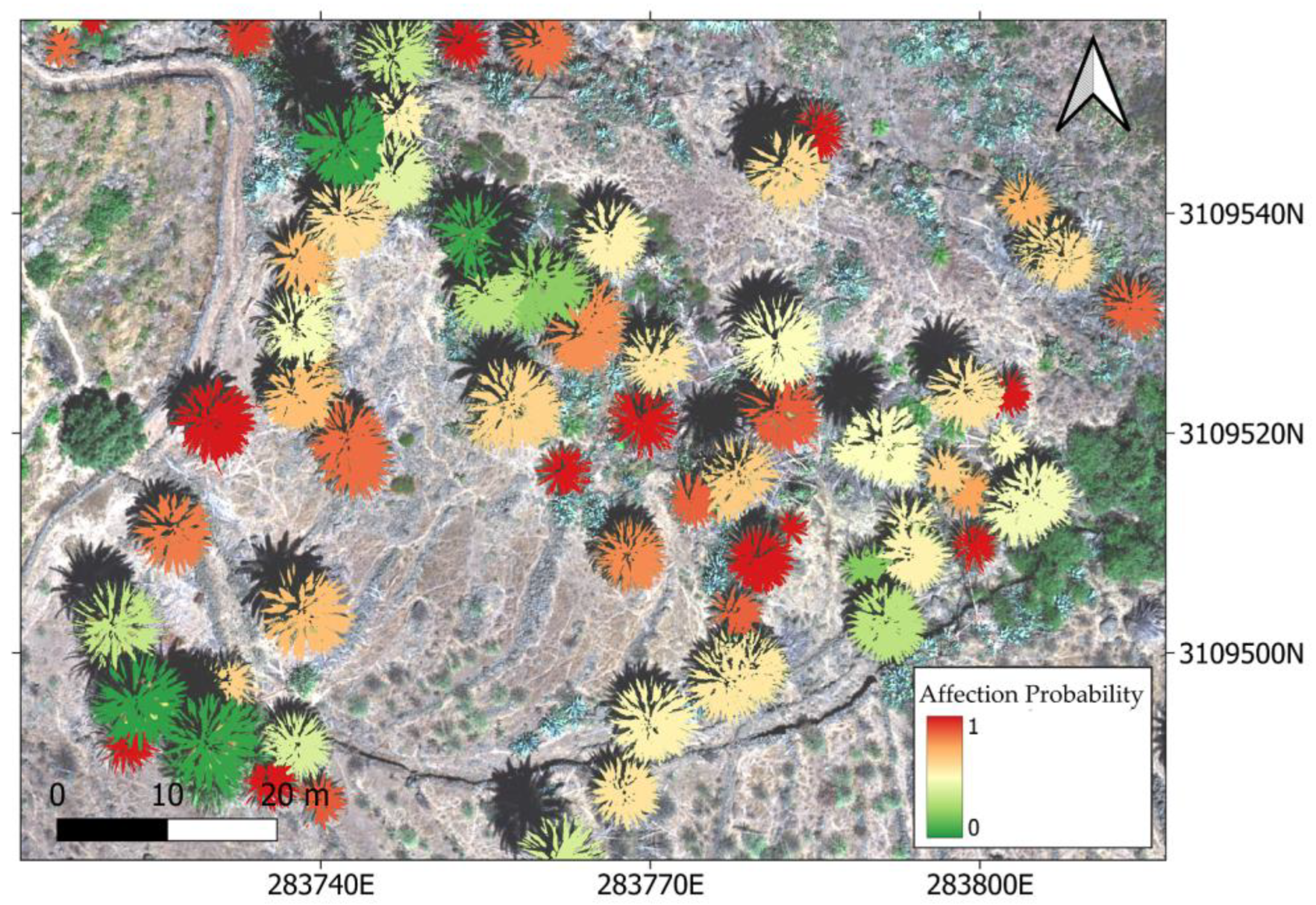 Remotesensing 15 03584 g007