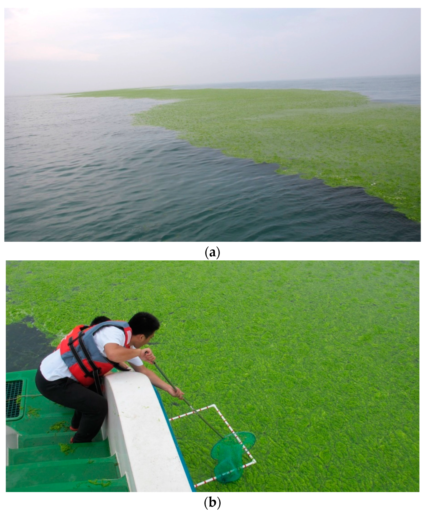 Remotesensing 15 03625 g003 Remotesensing 15 03625 g003