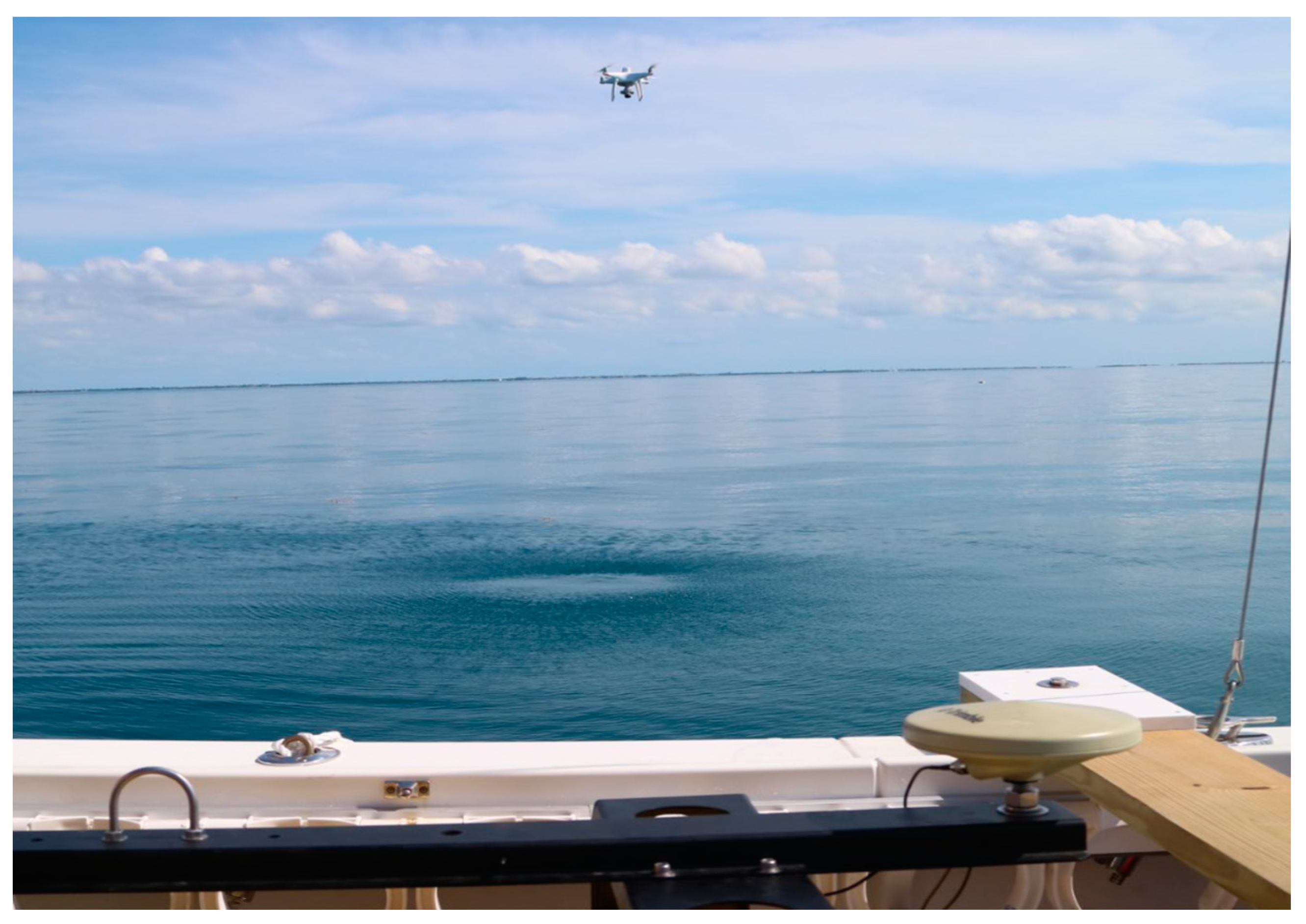 Remotesensing 15 03635 g005 Remotesensing 15 03635 g005