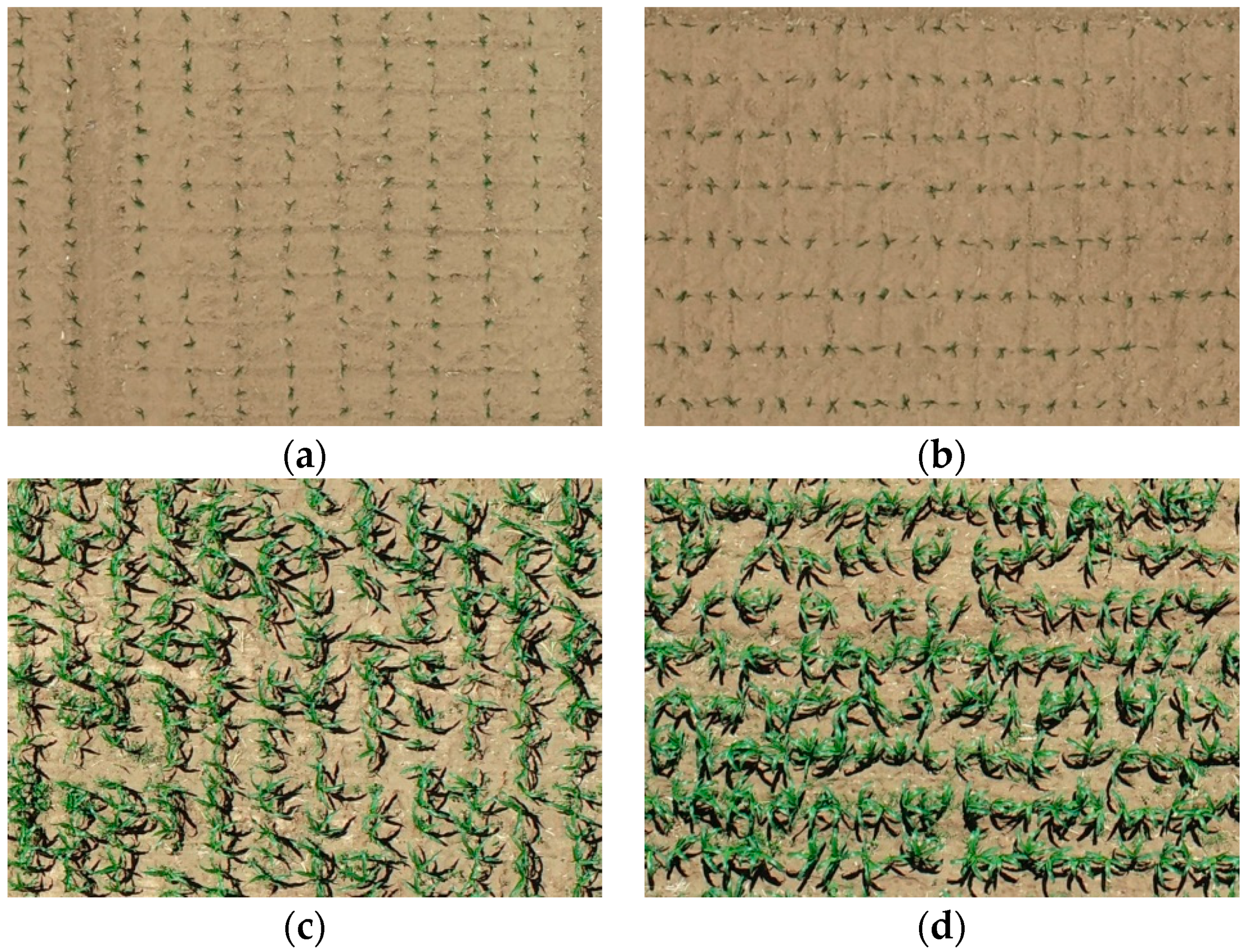 Remotesensing 15 03671 g003 Remotesensing 15 03671 g003