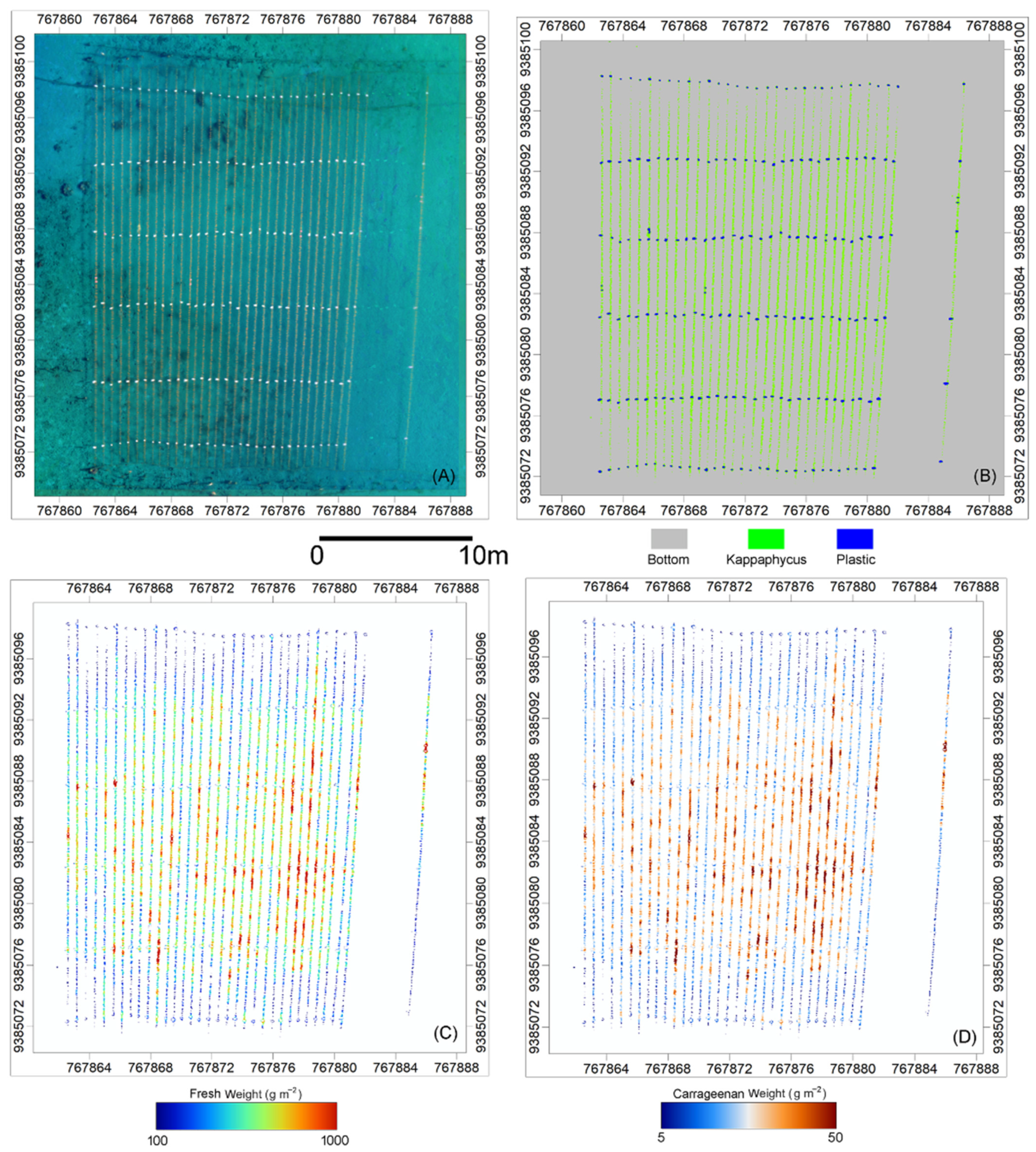 Remotesensing 15 03674 g006