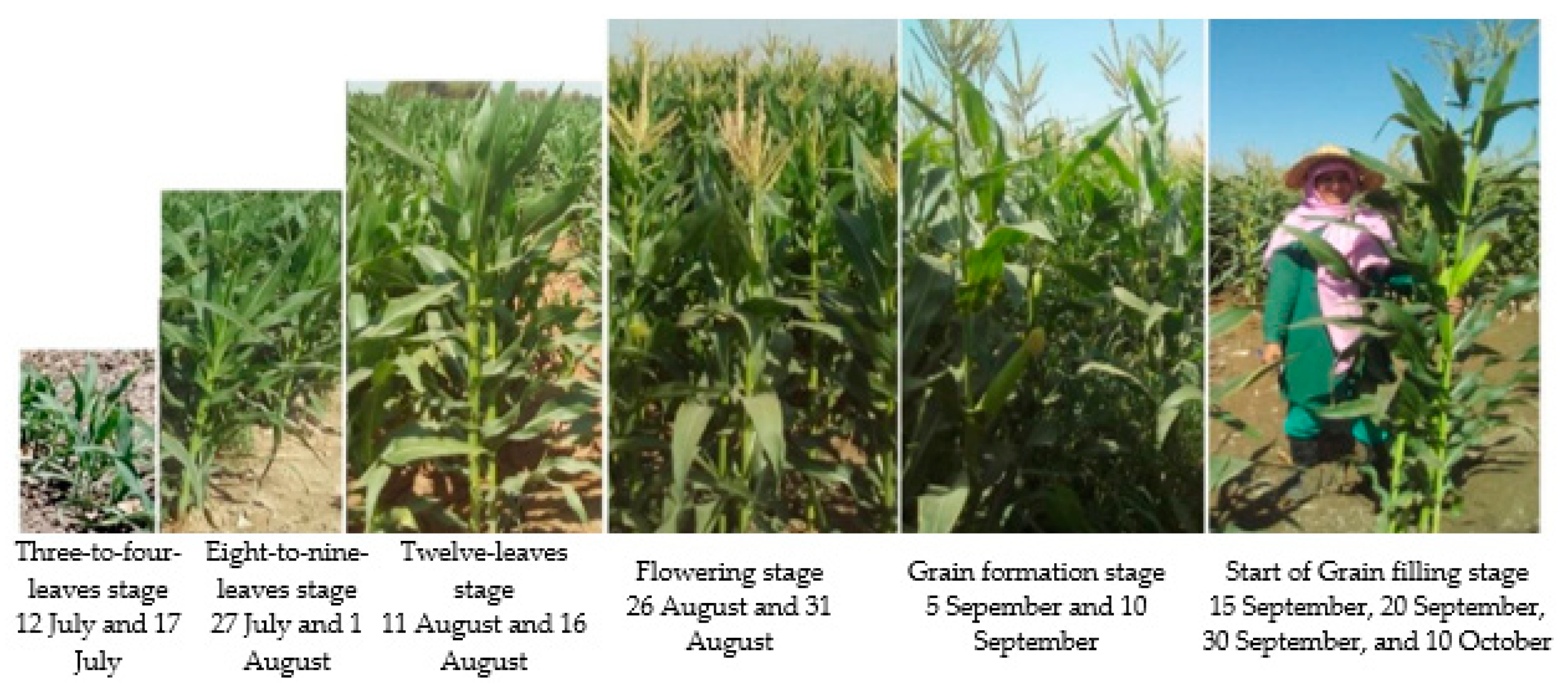 Remotesensing 15 03690 g002 Remotesensing 15 03690 g002