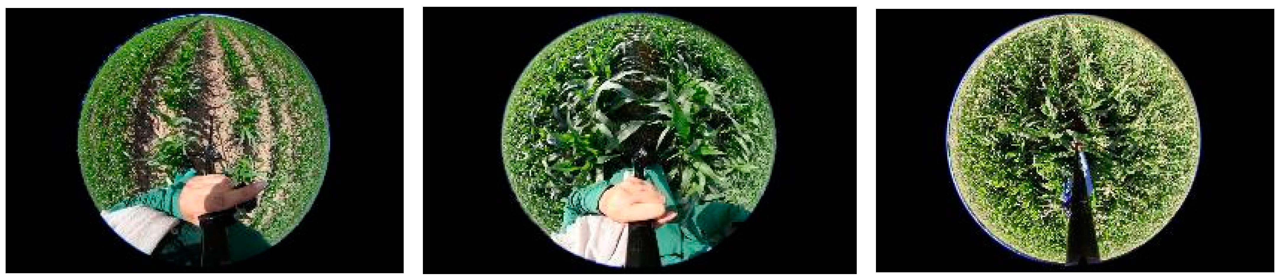 Remotesensing 15 03690 g003 Remotesensing 15 03690 g003