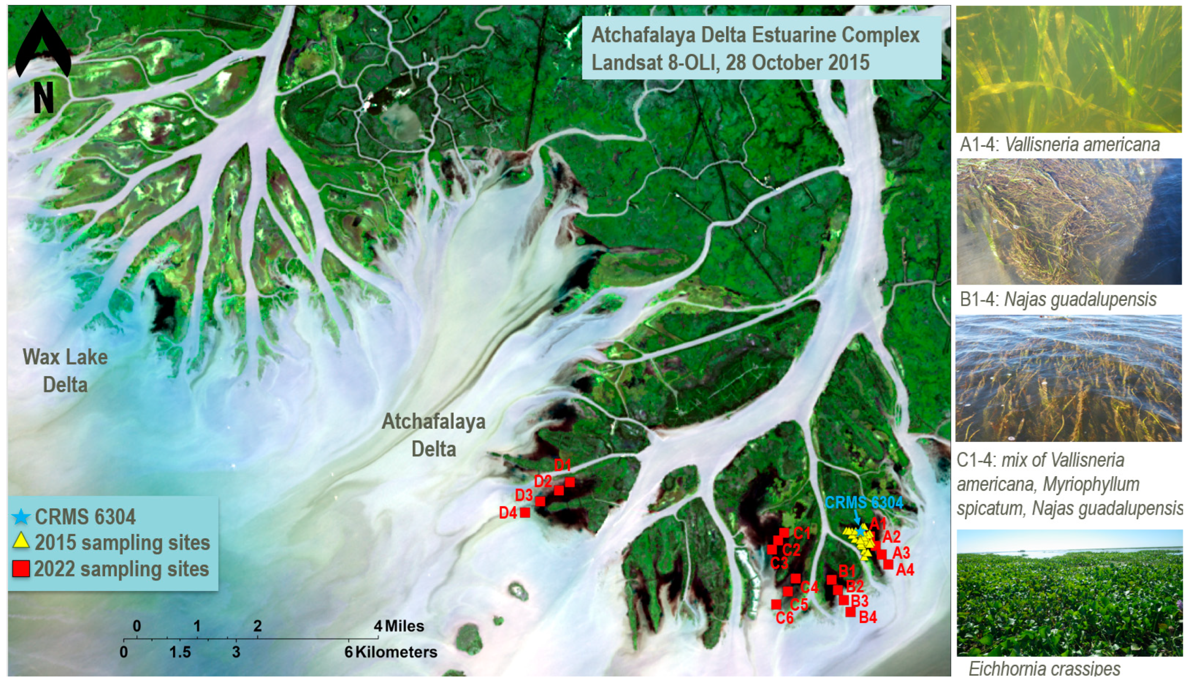 Remotesensing 15 03765 g002