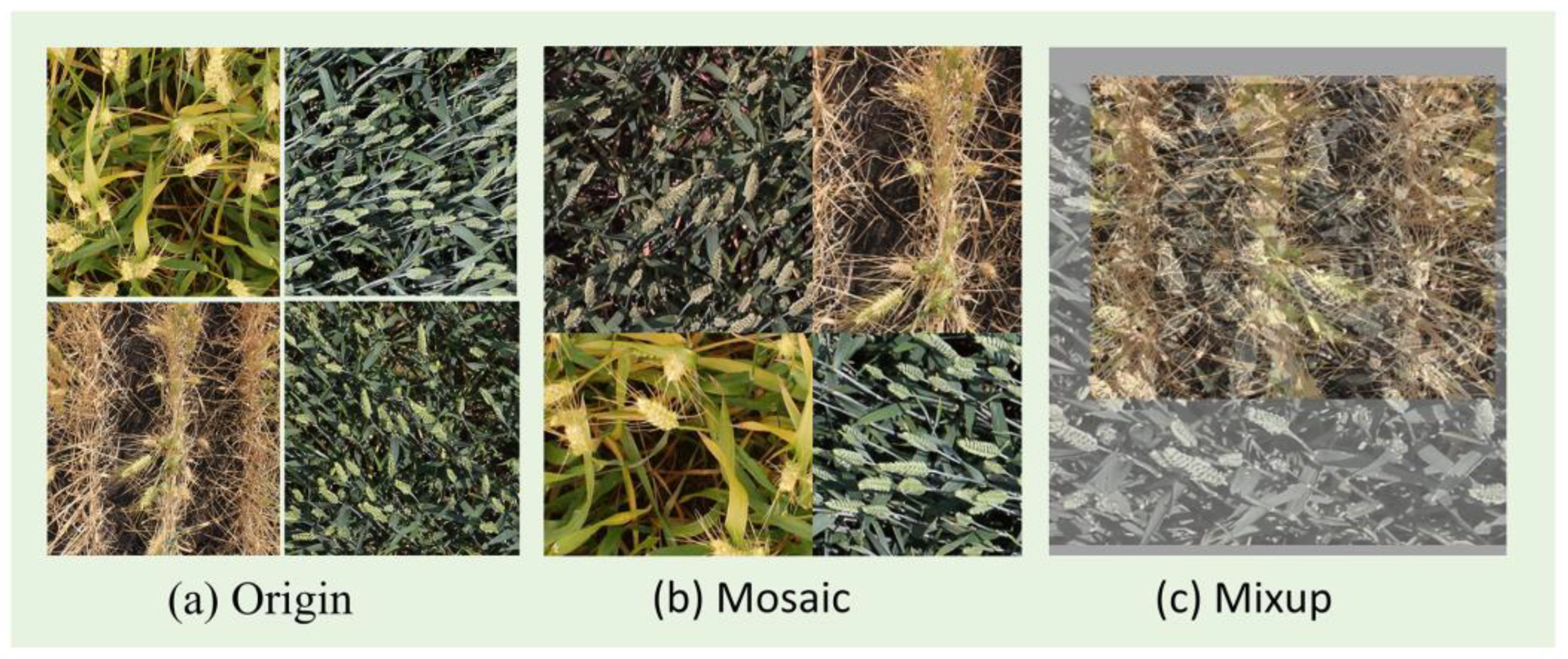 Remotesensing 15 03770 g004