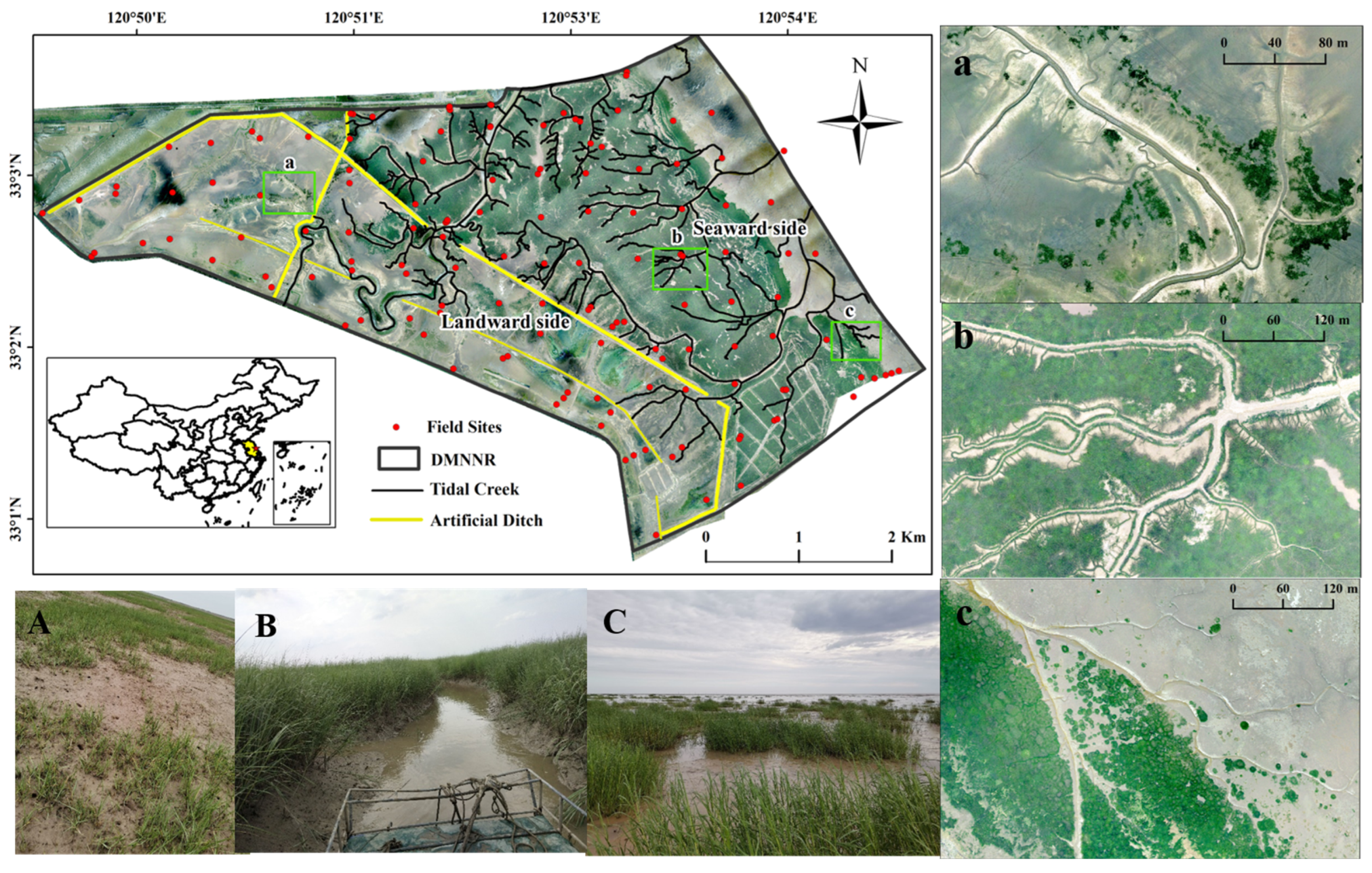 Remotesensing 15 03853 g001 Remotesensing 15 03853 g001