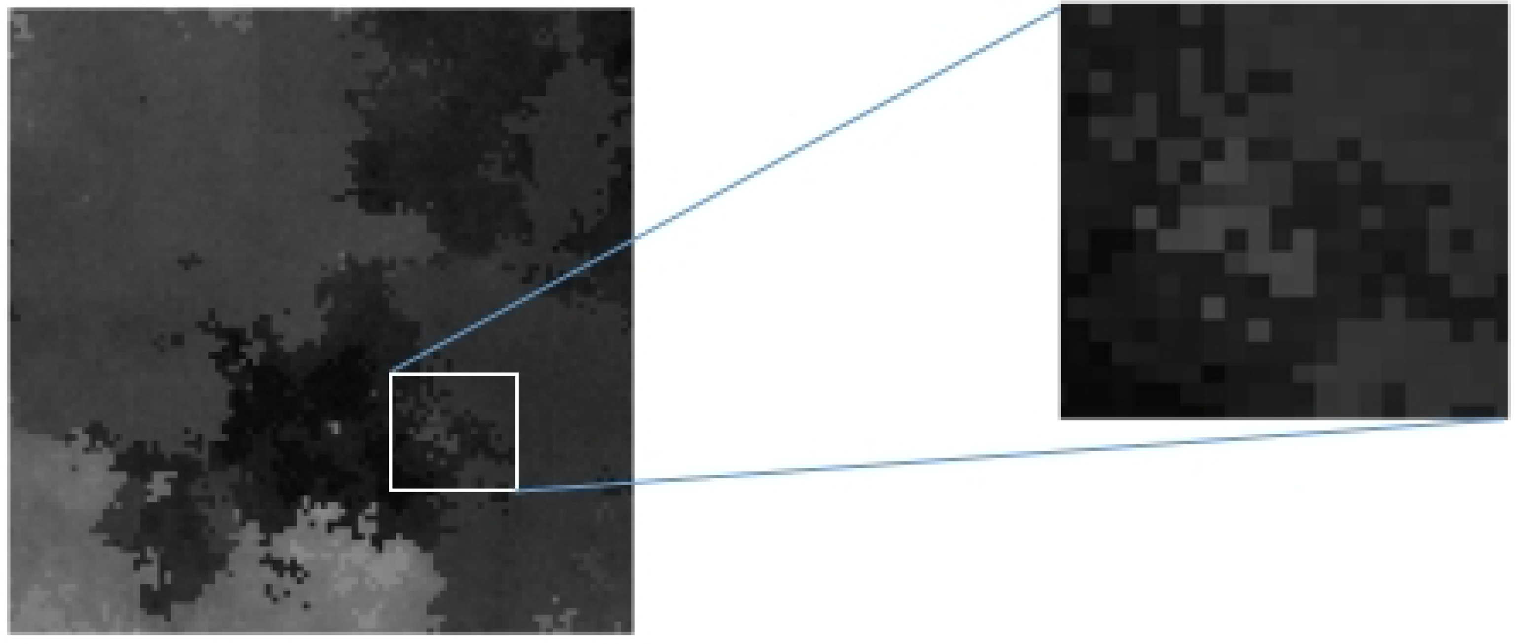 Hyperspectral Unmixing Network Accounting for Spectral Variability ...