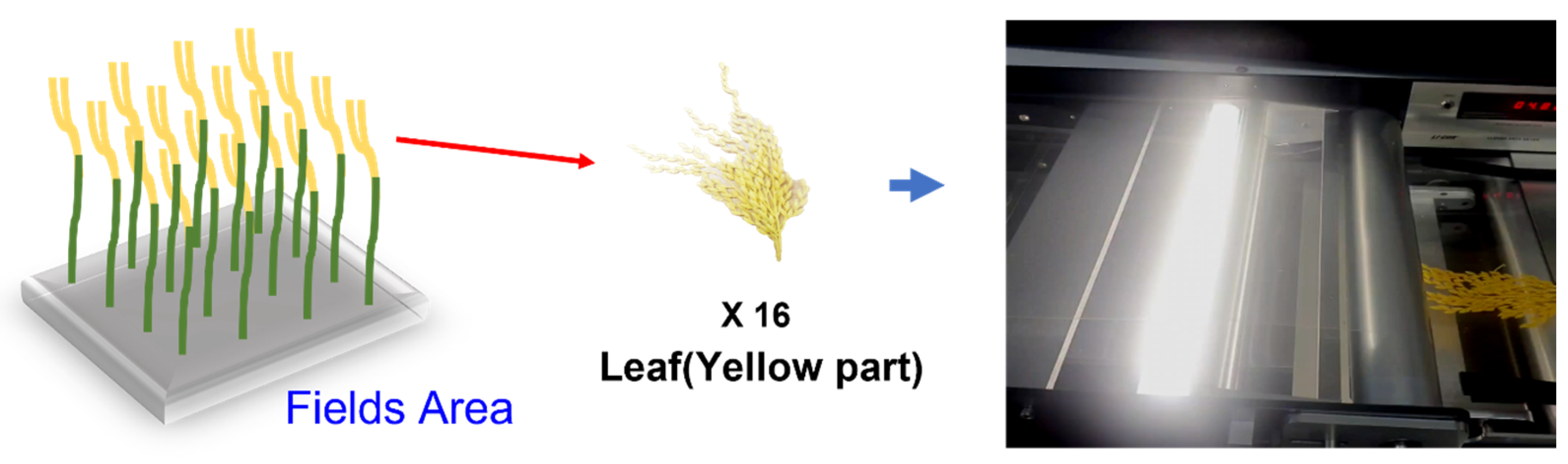 Remotesensing 15 03903 g018