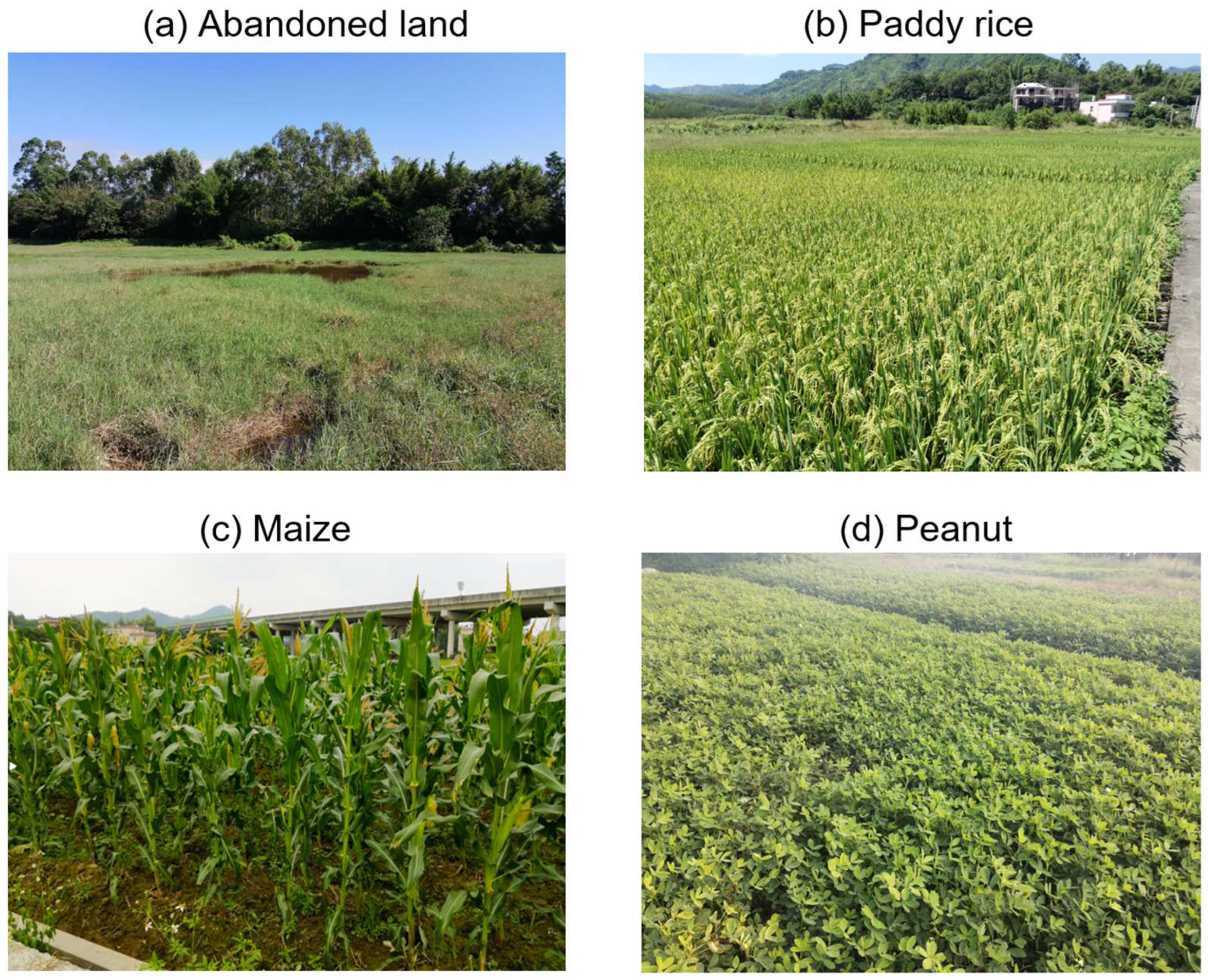 Remotesensing 15 03942 g002 Remotesensing 15 03942 g002