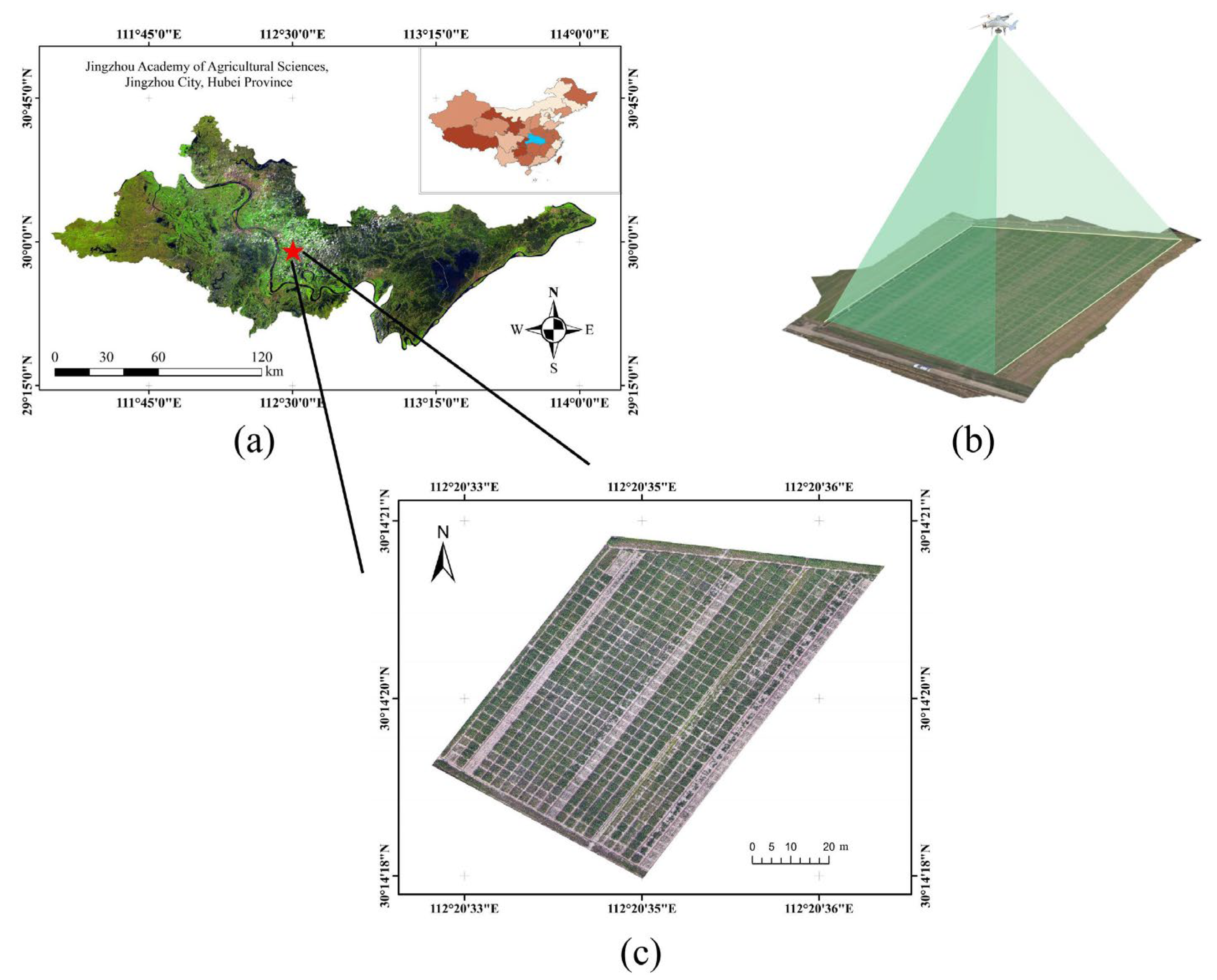 Remotesensing 15 03951 g001 Remotesensing 15 03951 g001