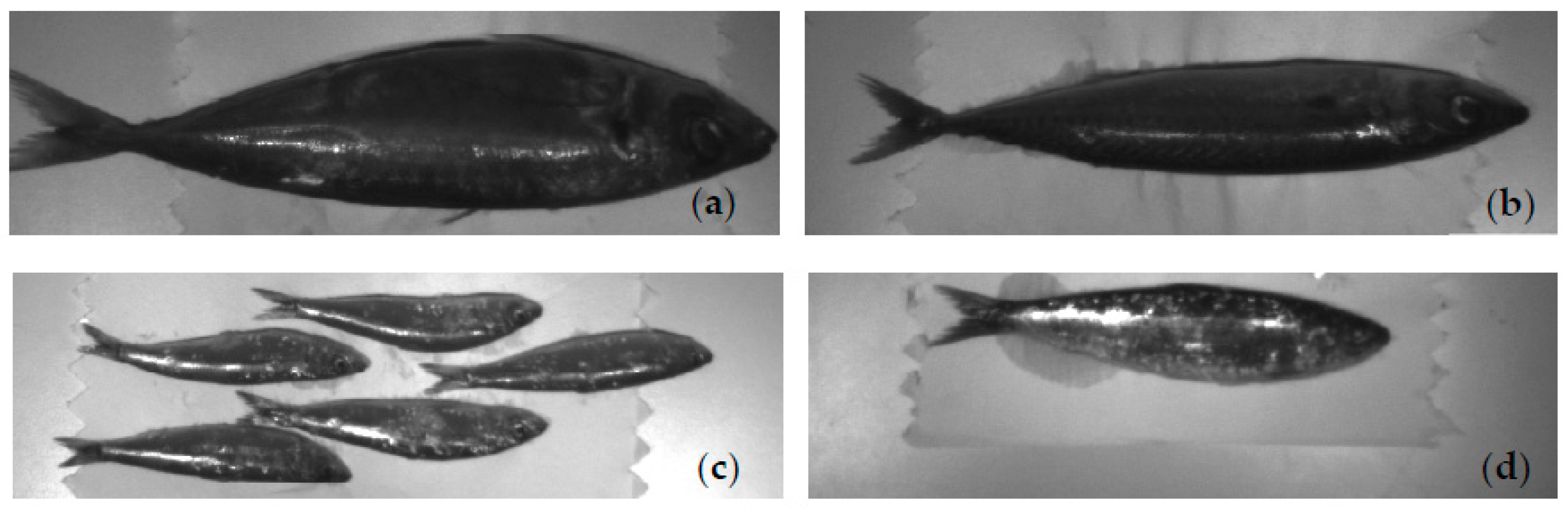 Remotesensing 15 03952 g004