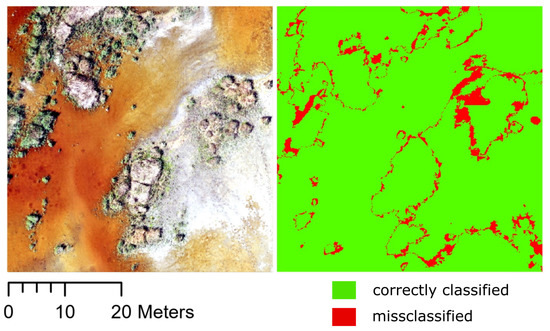 Spatial Analysis of Intra-Annual Reed Ecosystem Dynamics at Lake ...