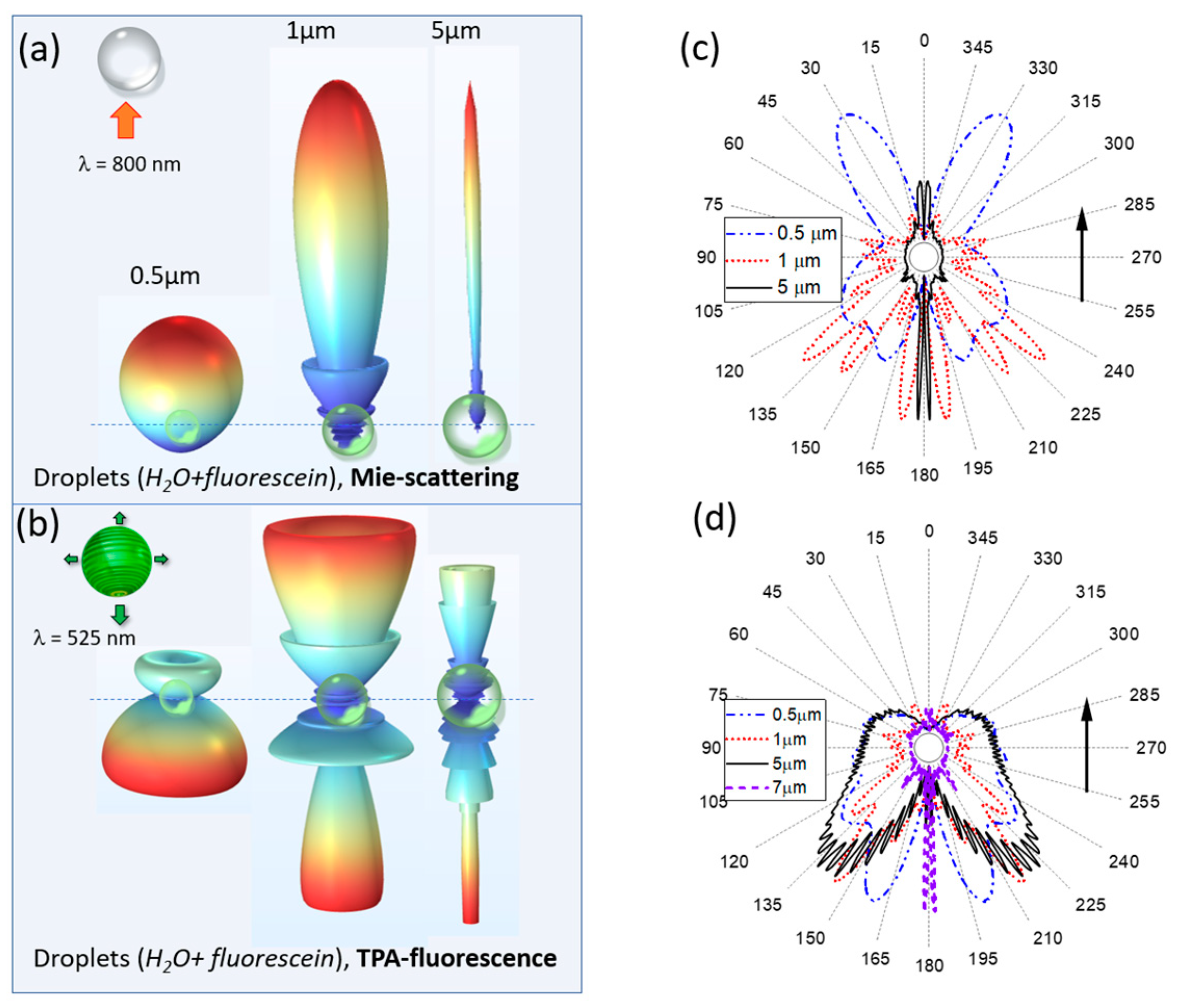 Remotesensing 15 04004 g004