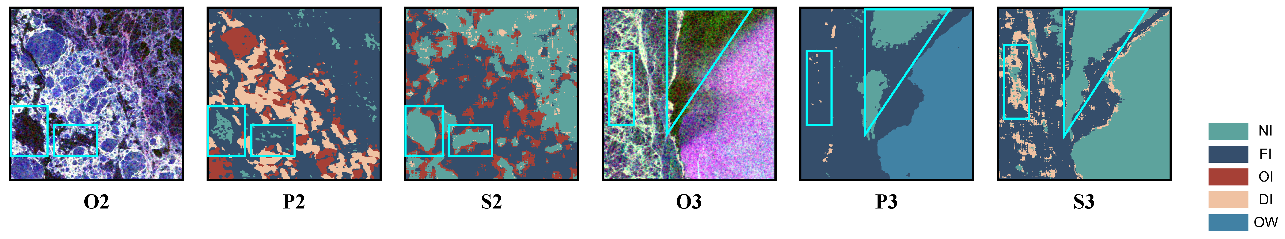 Remotesensing 15 04014 g019