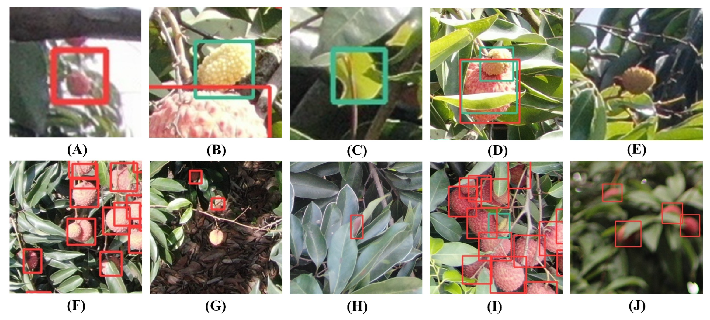 Remotesensing 15 04017 g010