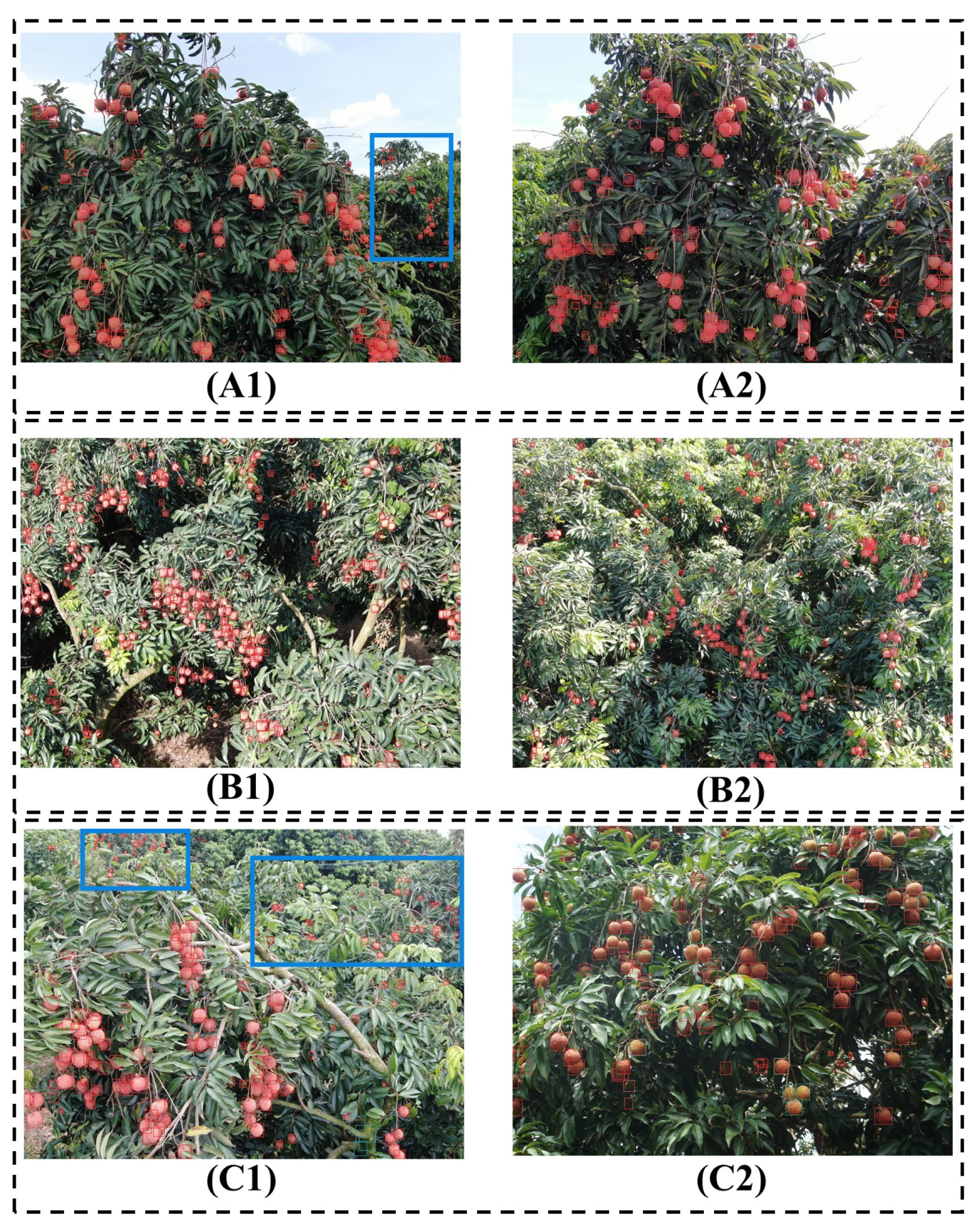 Remotesensing 15 04017 g012