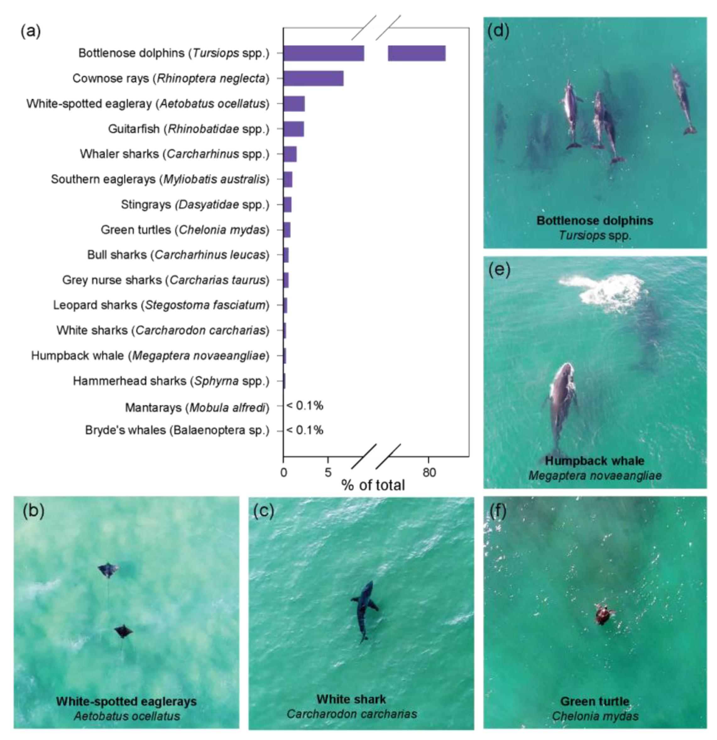 Remotesensing 15 04018 g002