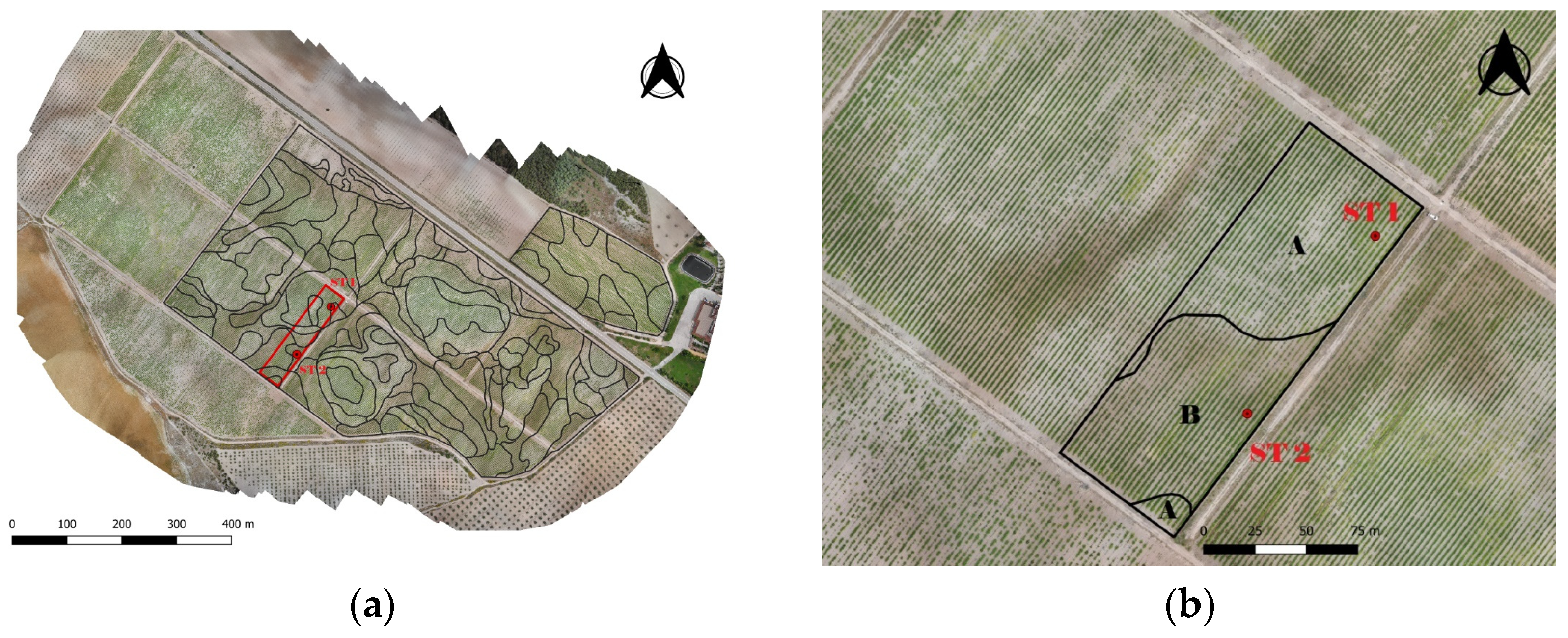 Remotesensing 15 04024 g003