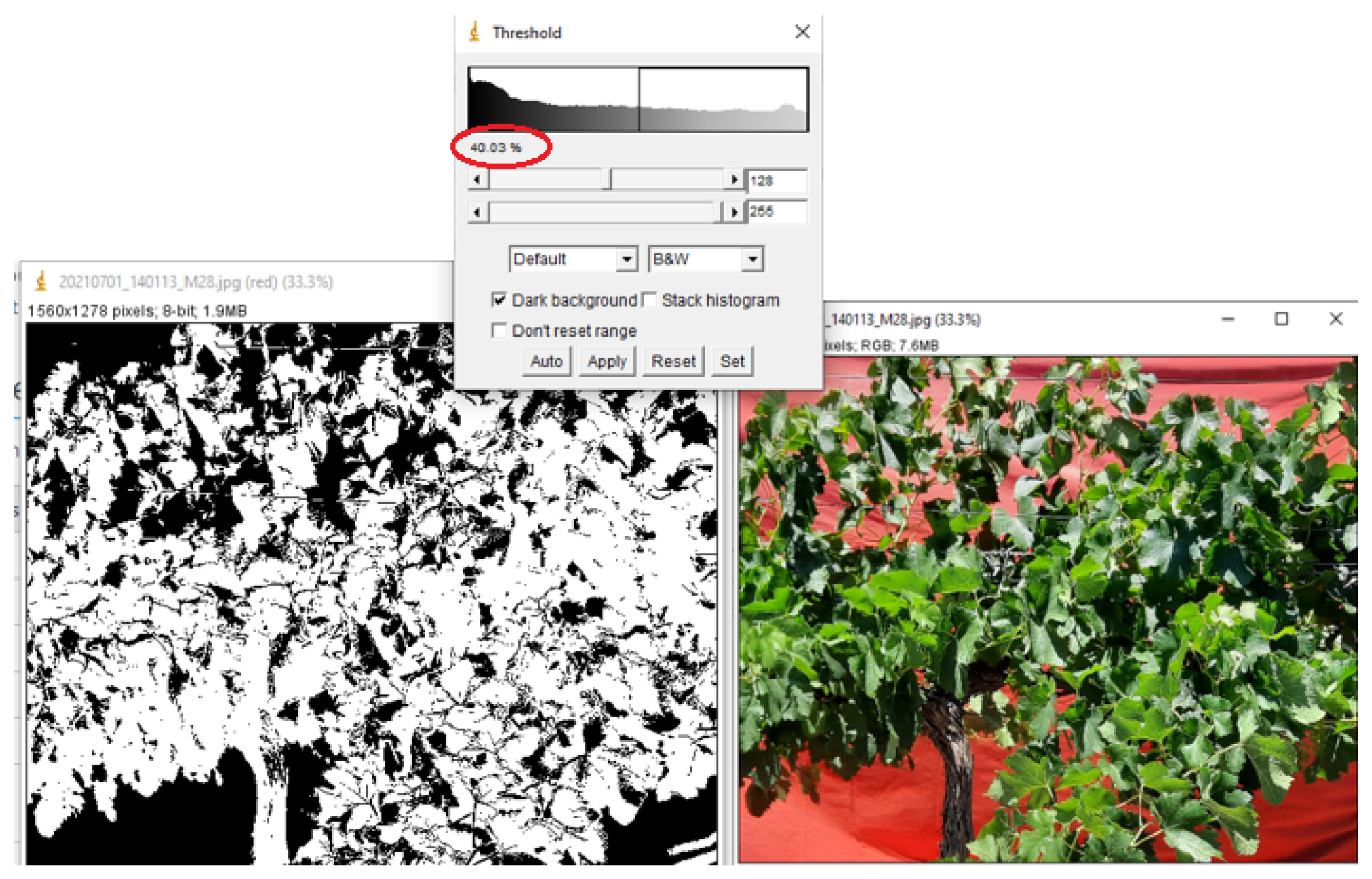 Remotesensing 15 04024 g004