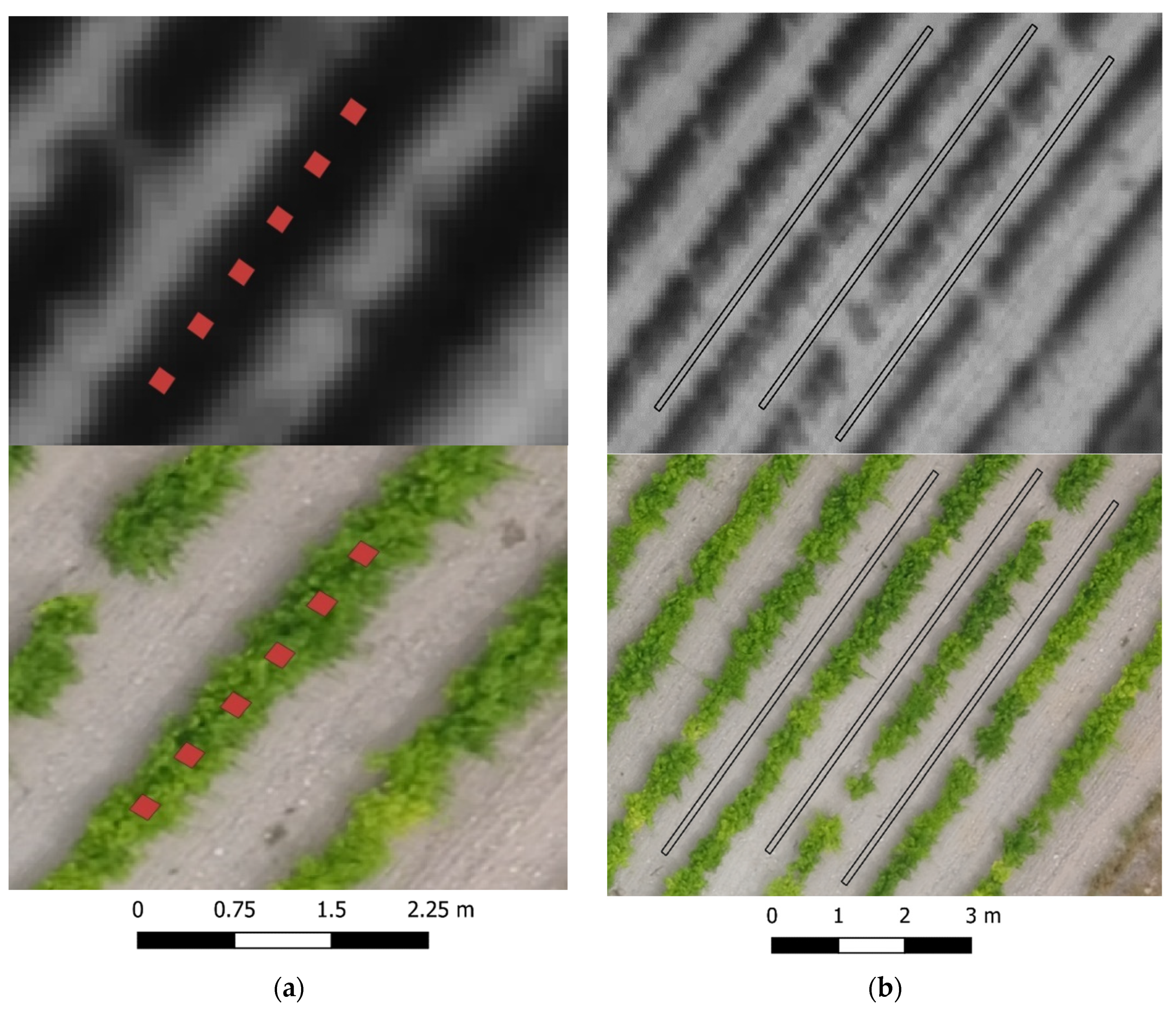 Remotesensing 15 04024 g005