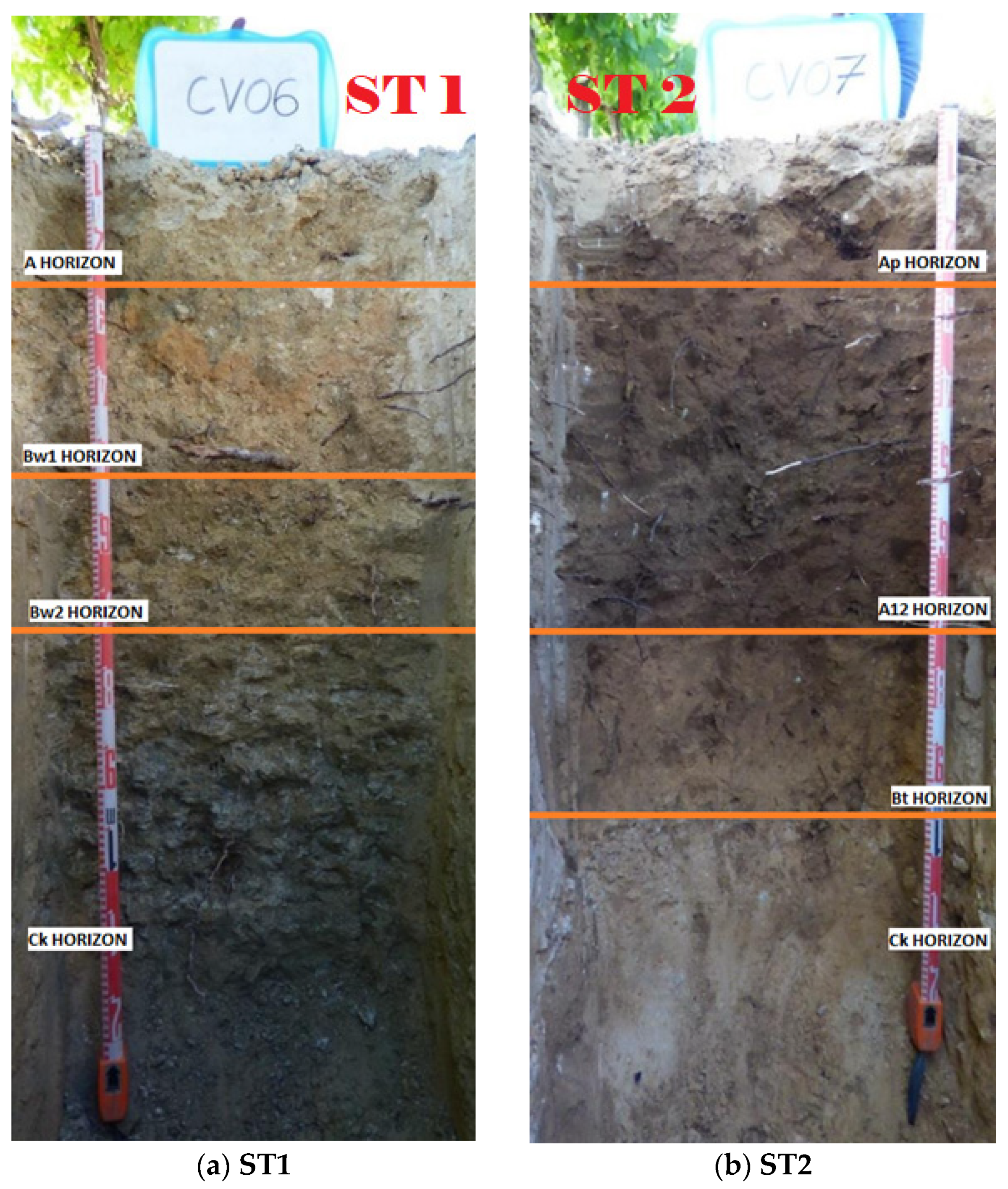 Remotesensing 15 04024 g006