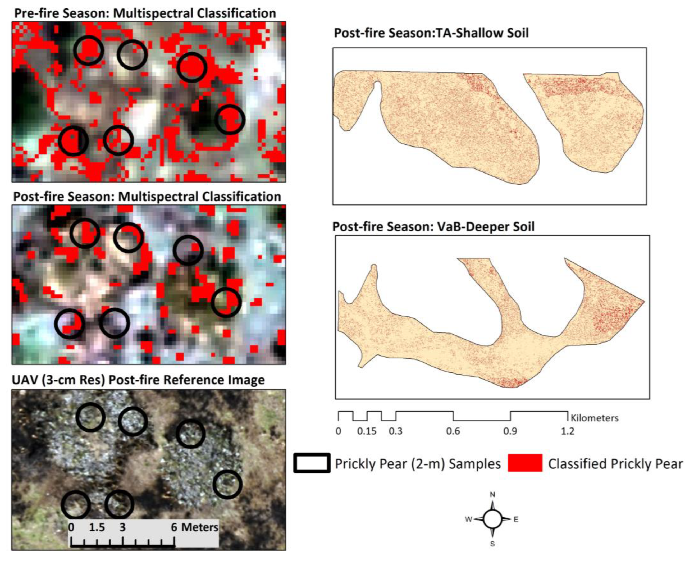 Remotesensing 15 04033 g003
