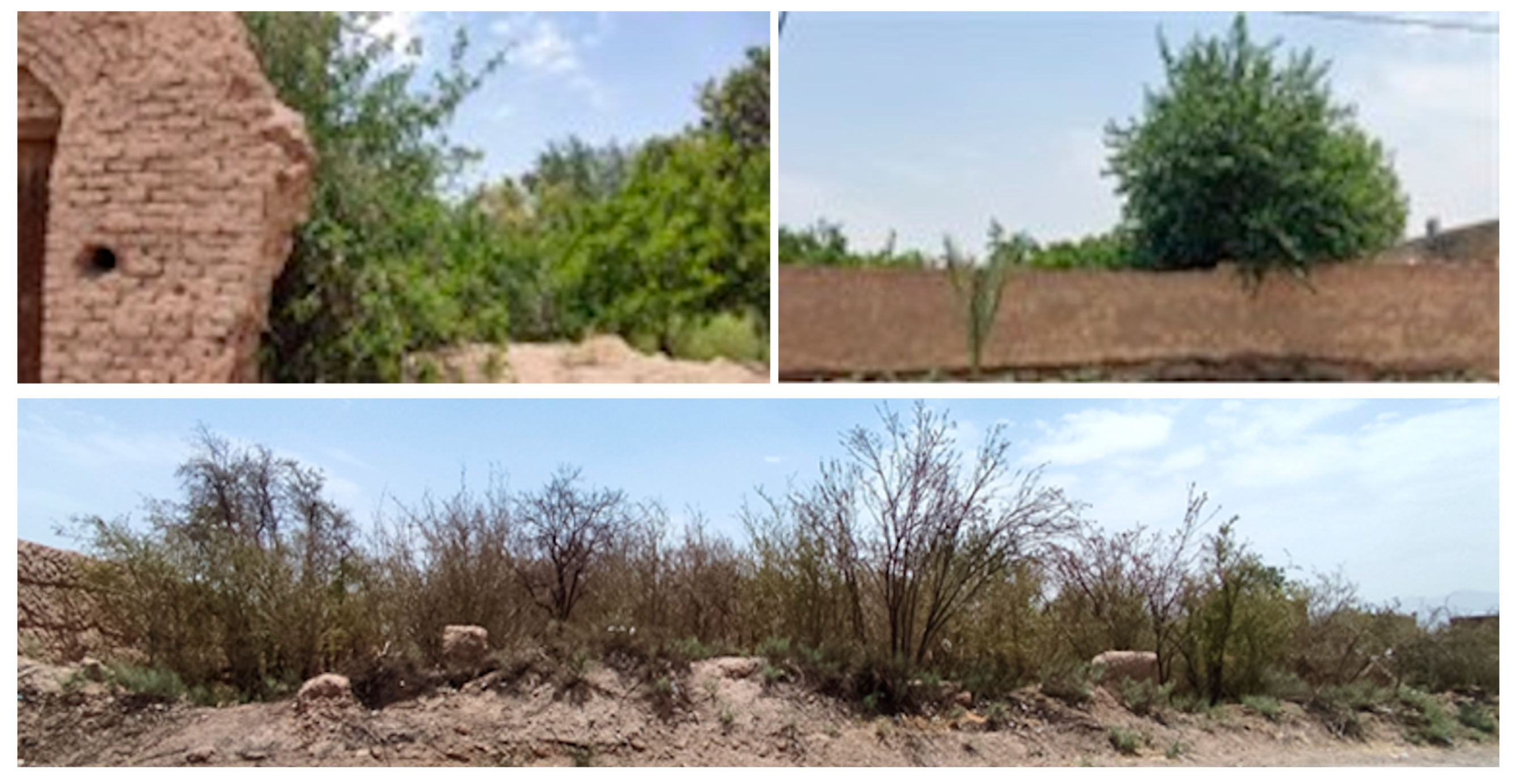 Remotesensing 15 04053 g009