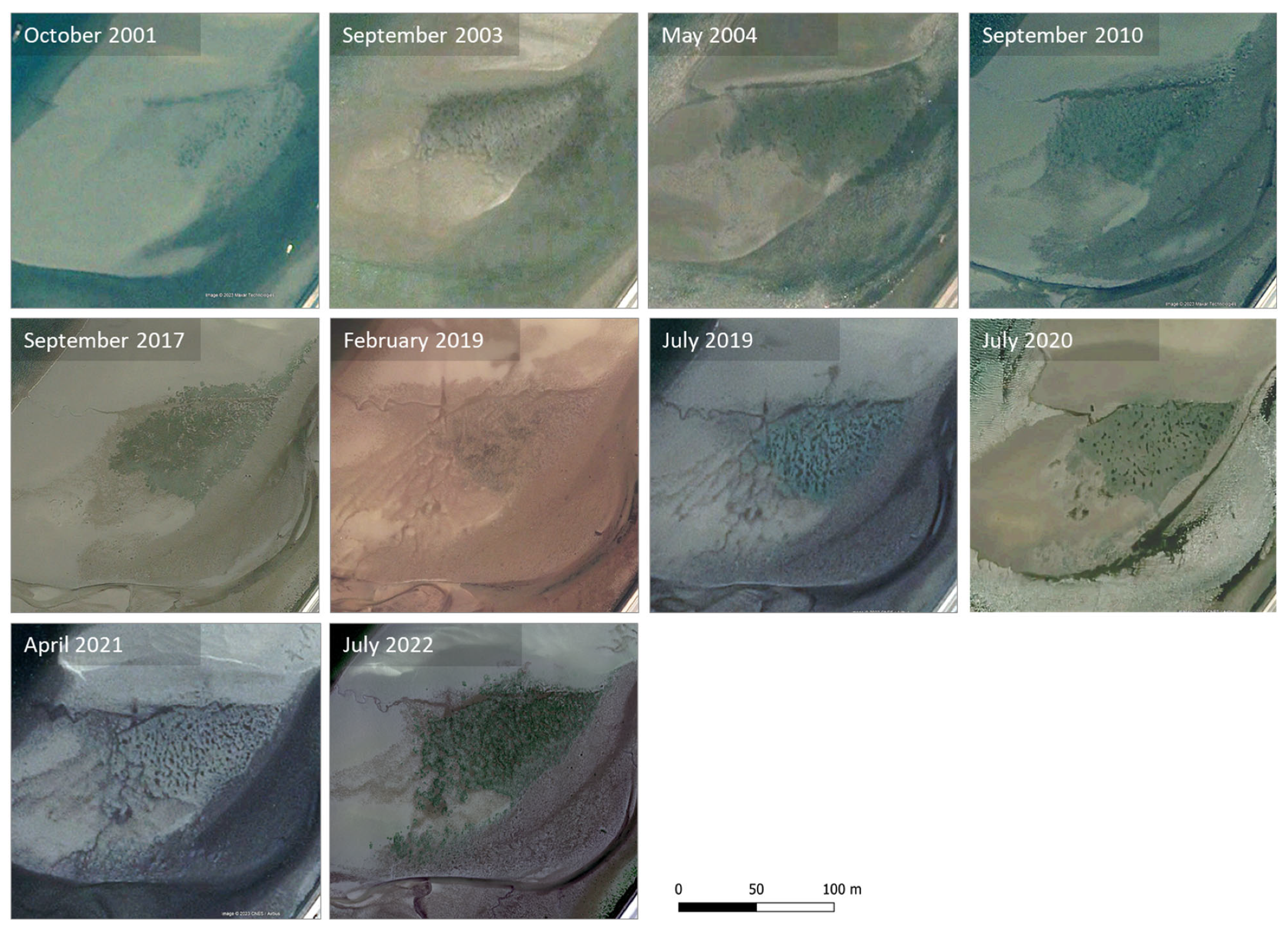 Remotesensing 15 04086 g006