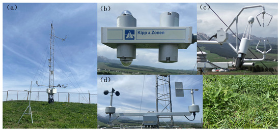 Temporal and Spatial Variations in Carbon Flux and Their