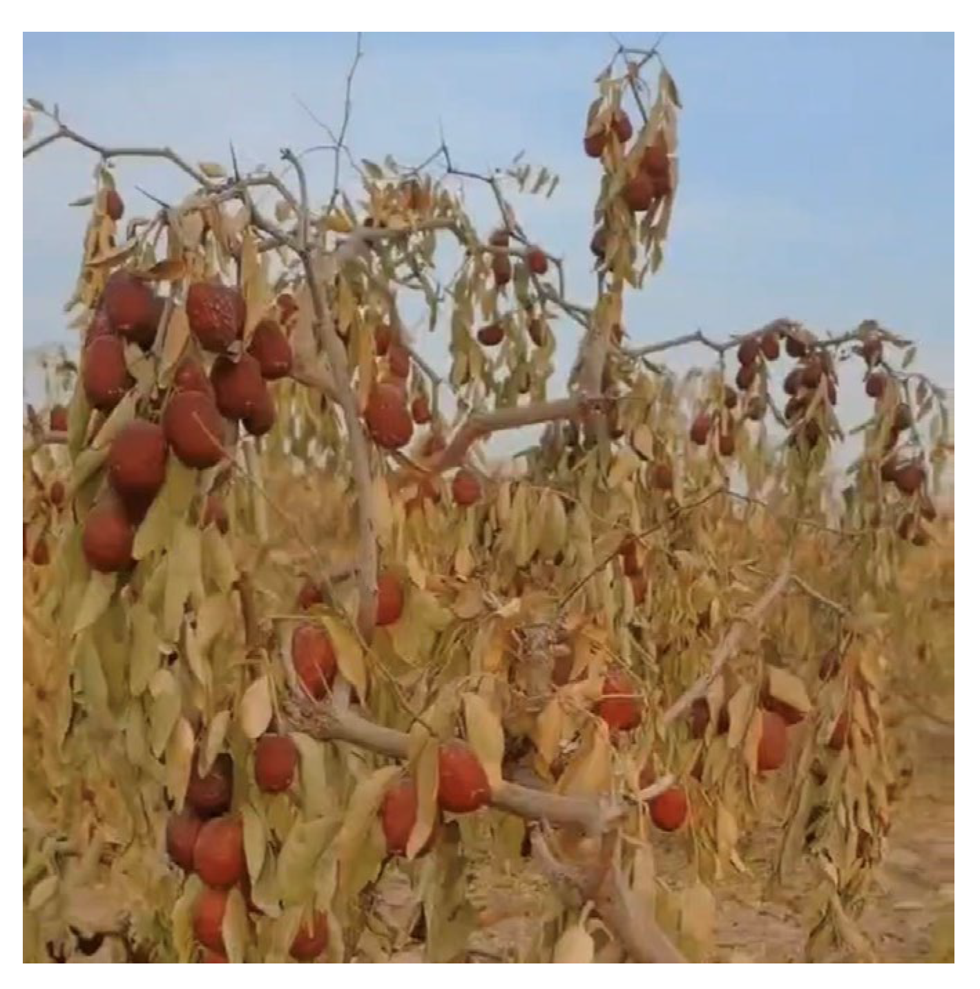 Remotesensing 15 04140 g009