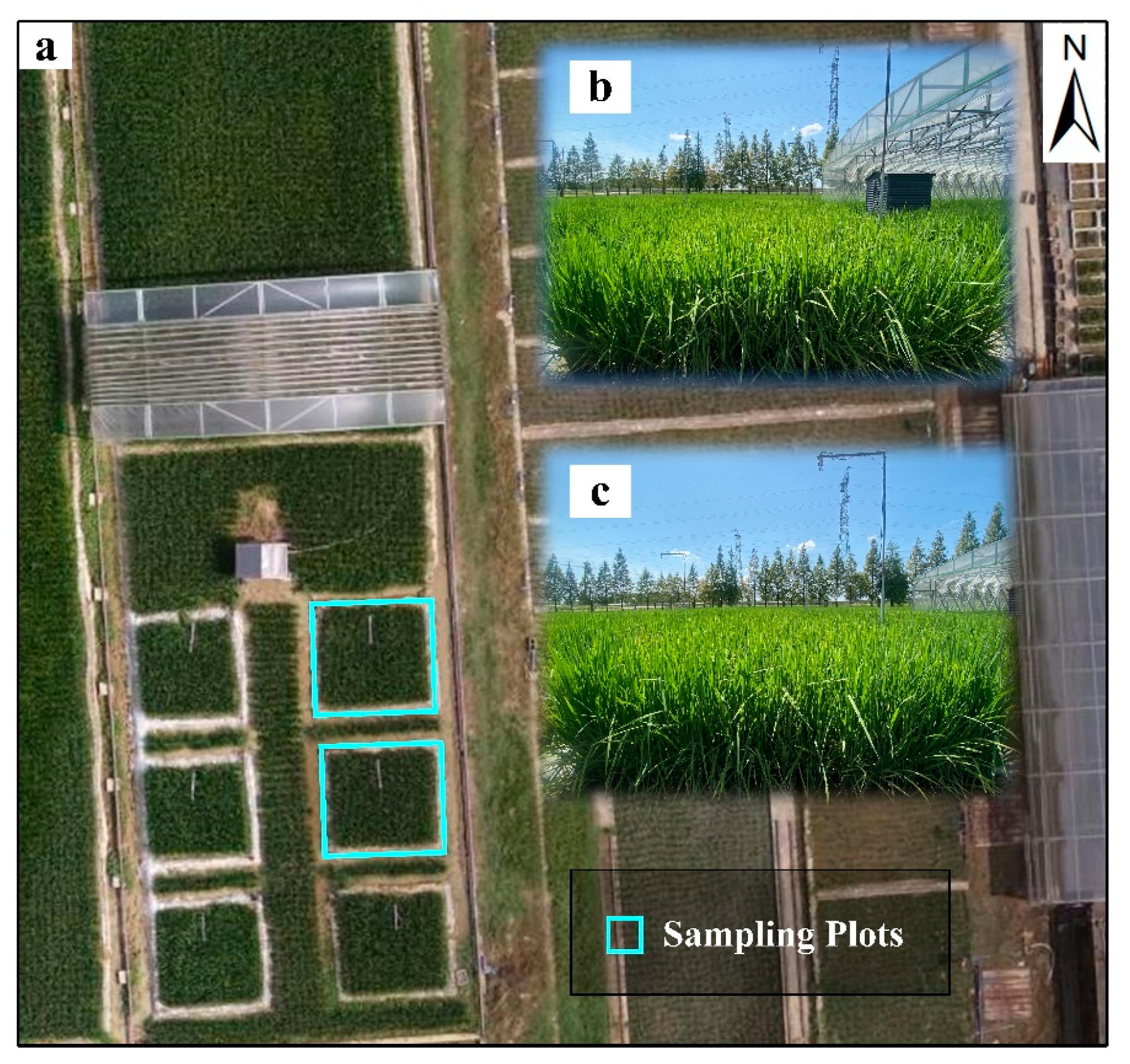 Remotesensing 15 04222 g001