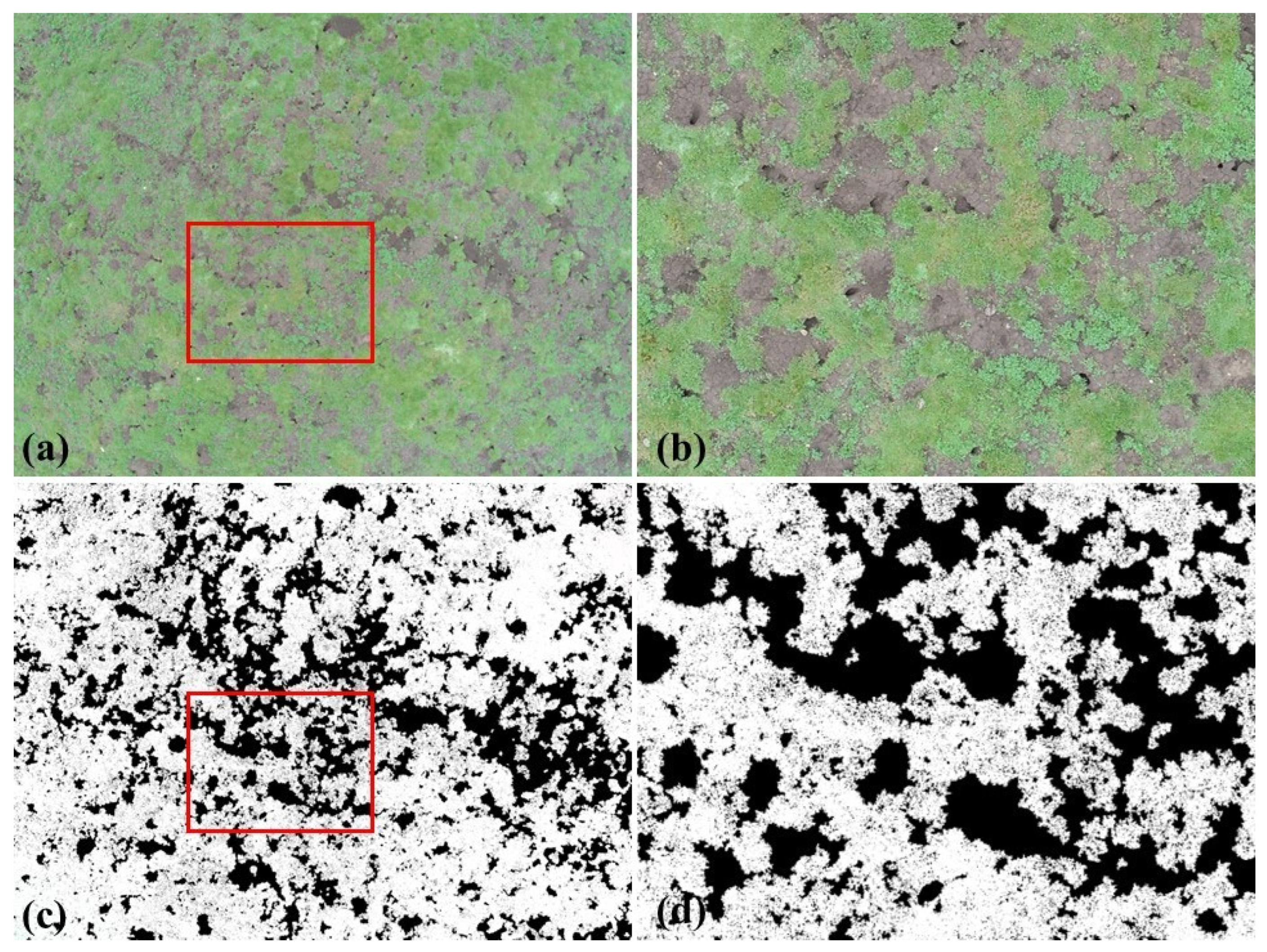 Remotesensing 15 04266 g003