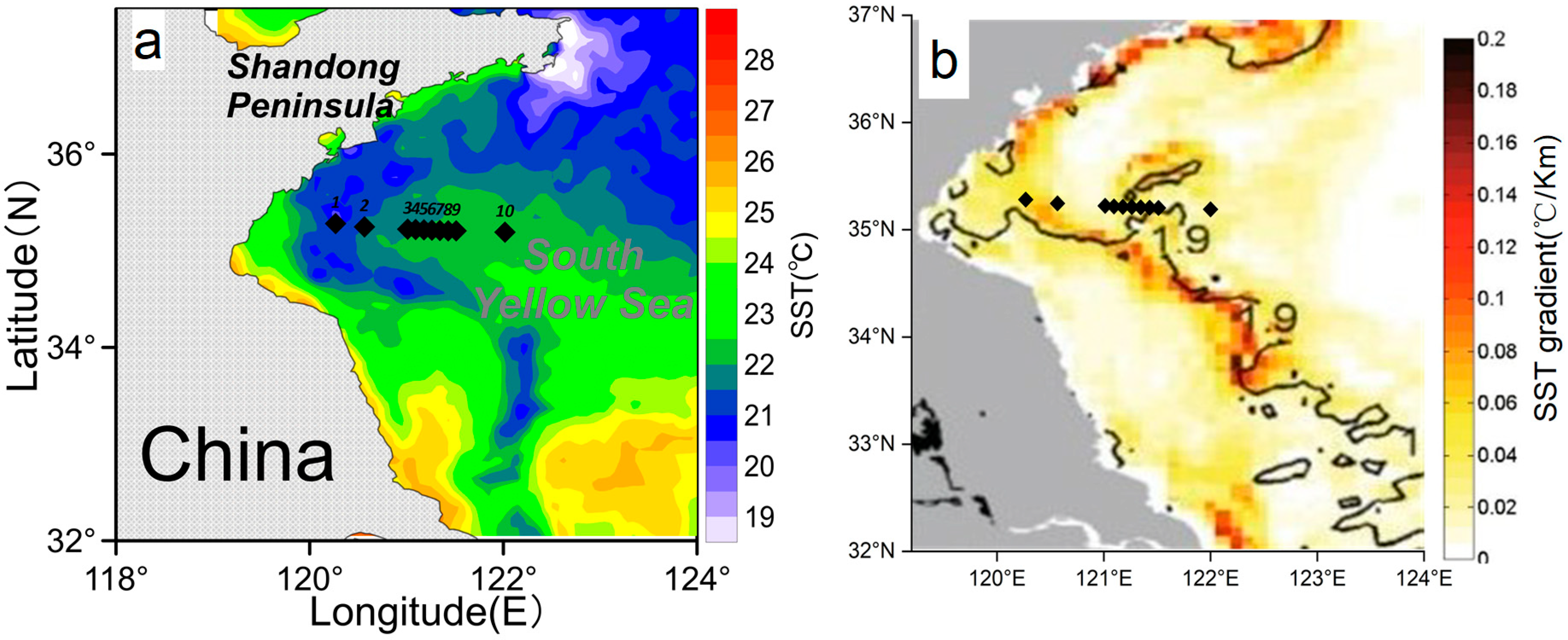 Remotesensing 15 04272 g010