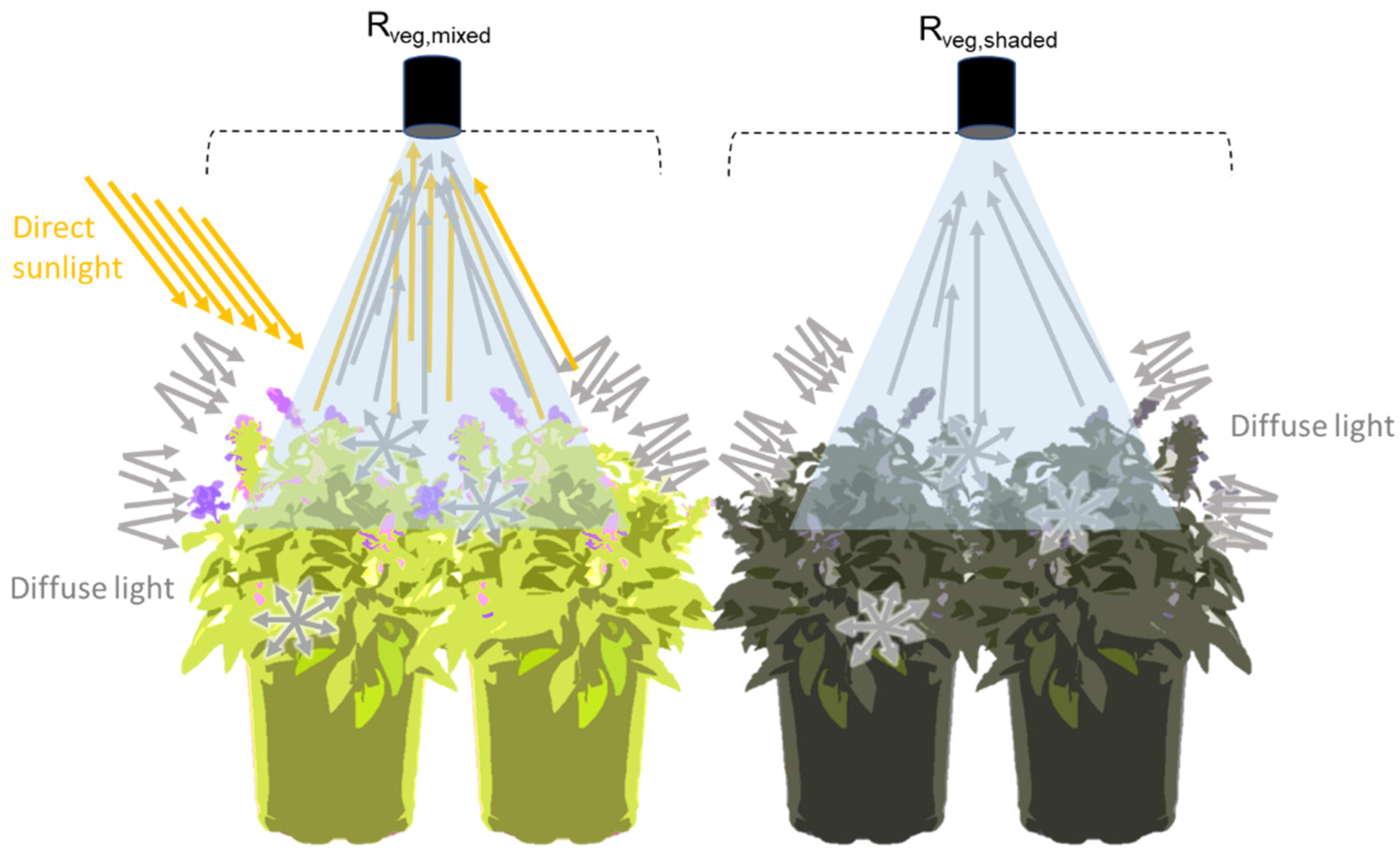 Remotesensing 15 04274 g003