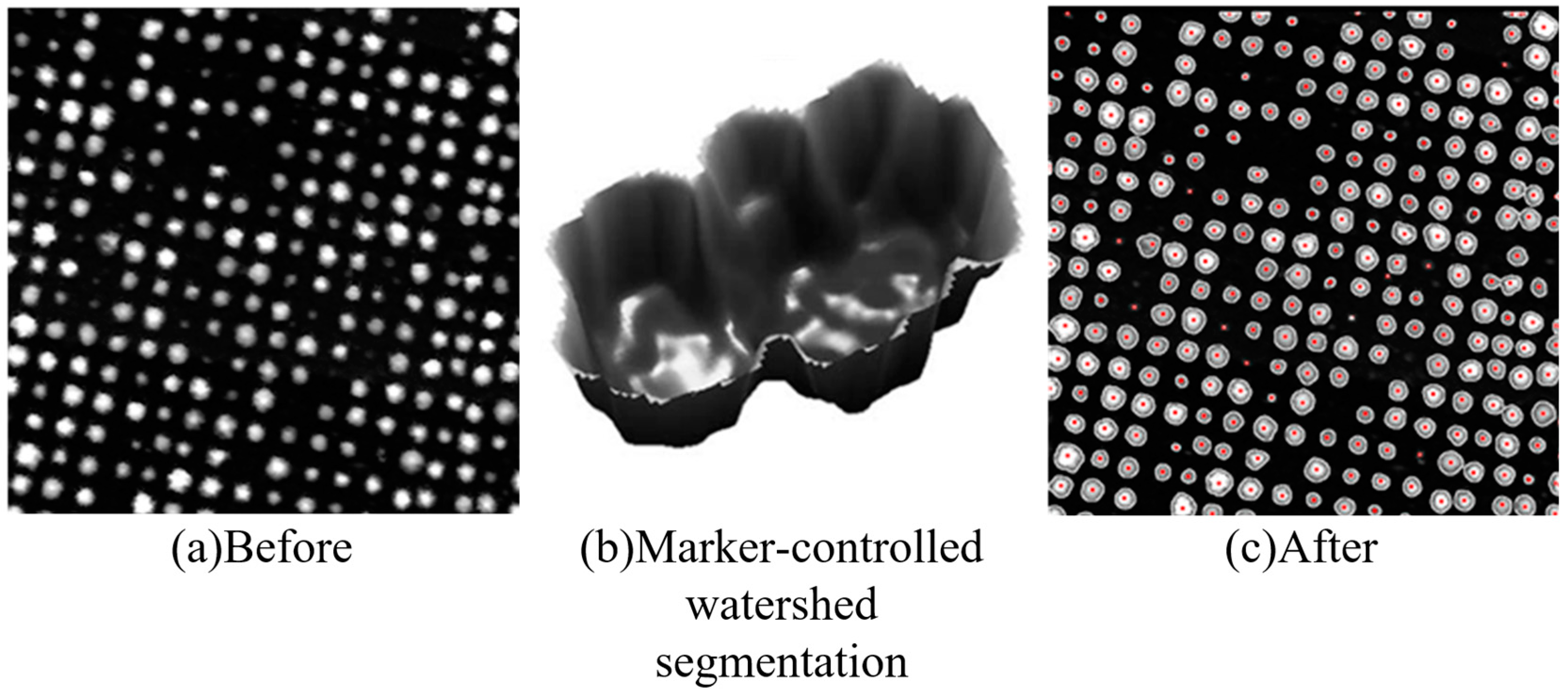 Remotesensing 15 04290 g004