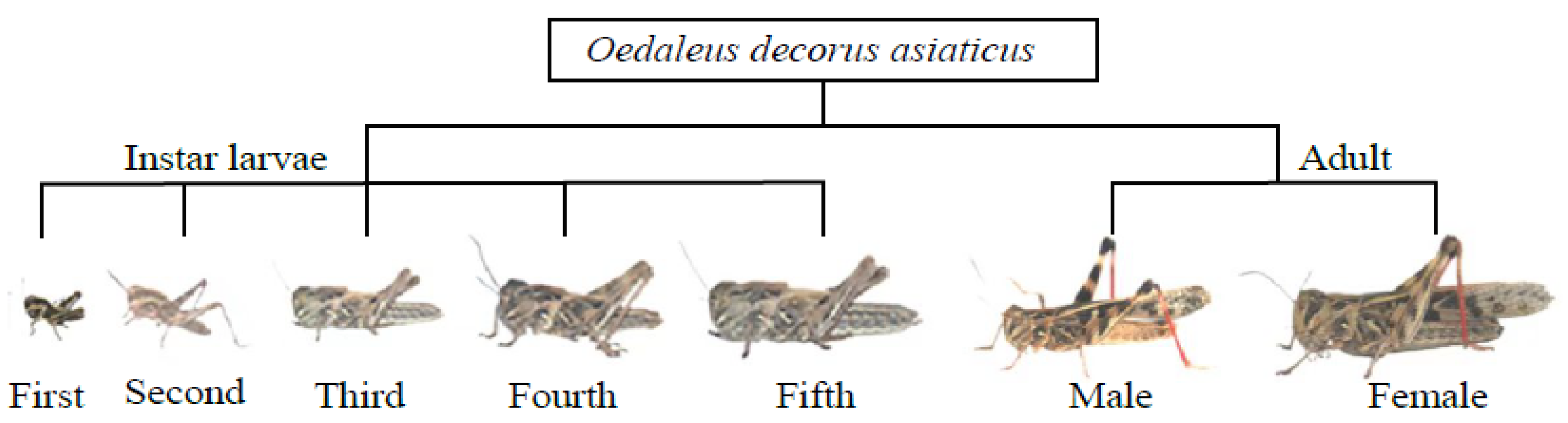 Remotesensing 15 04352 g003