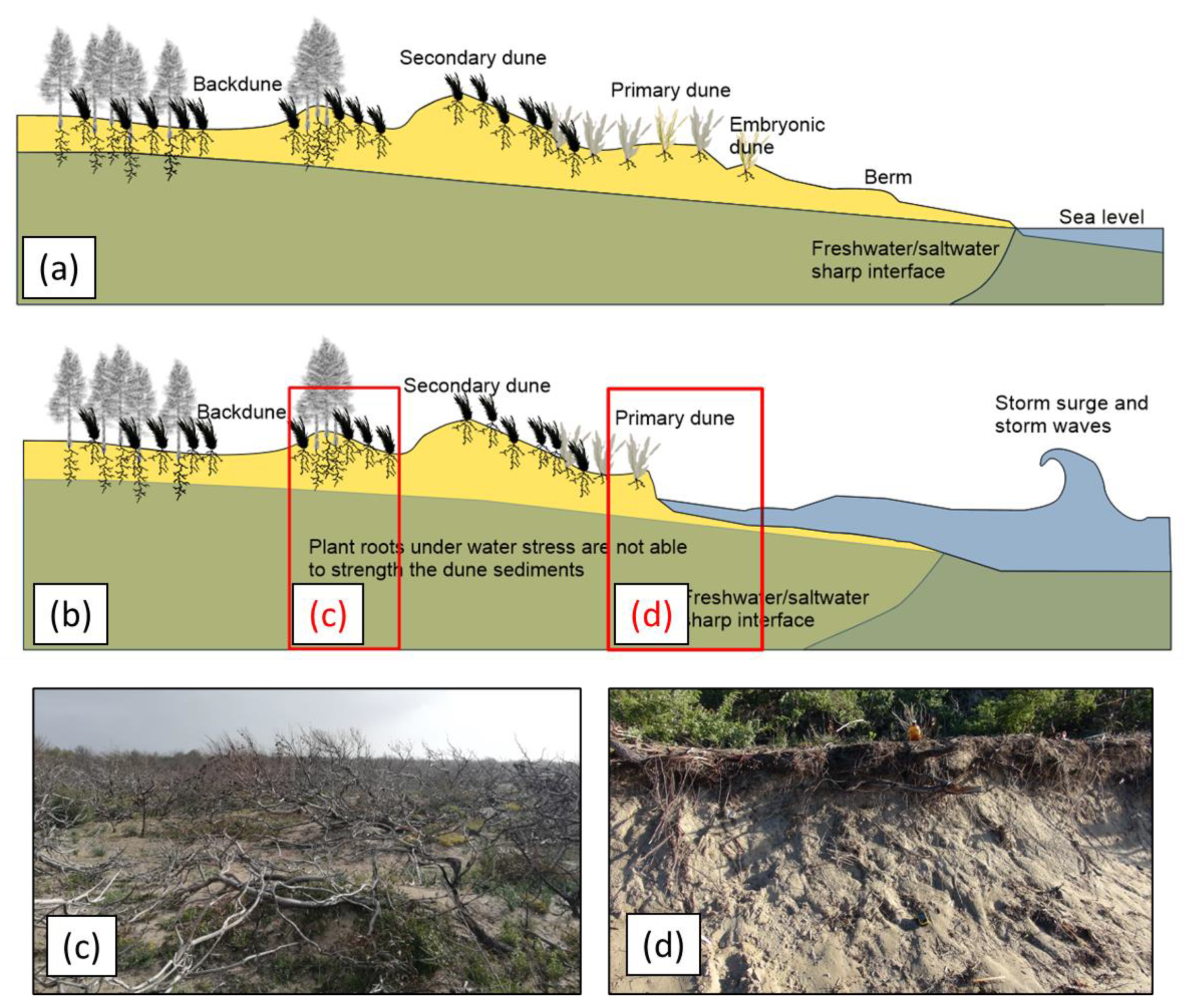 Remotesensing 15 04415 g009
