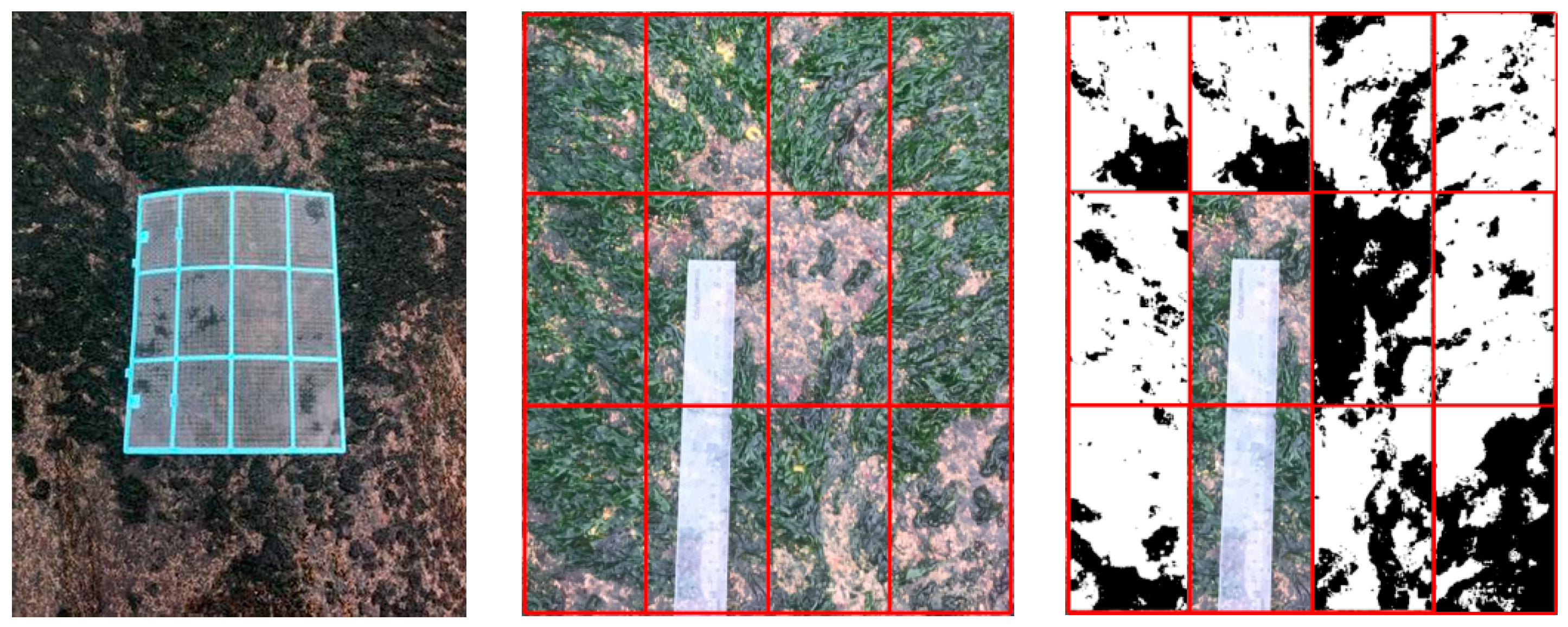 Remotesensing 15 04428 g015