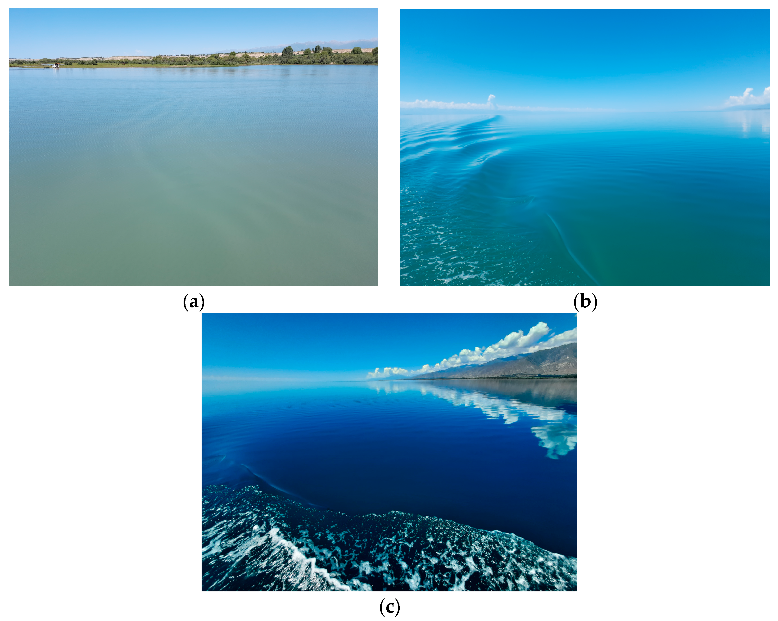 Remotesensing 15 04443 g003