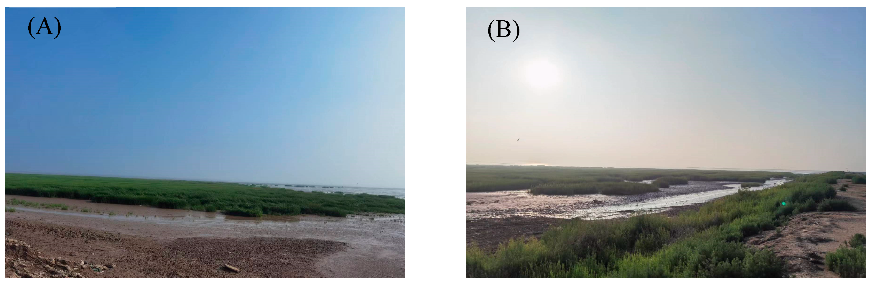 Remotesensing 15 04465 g010