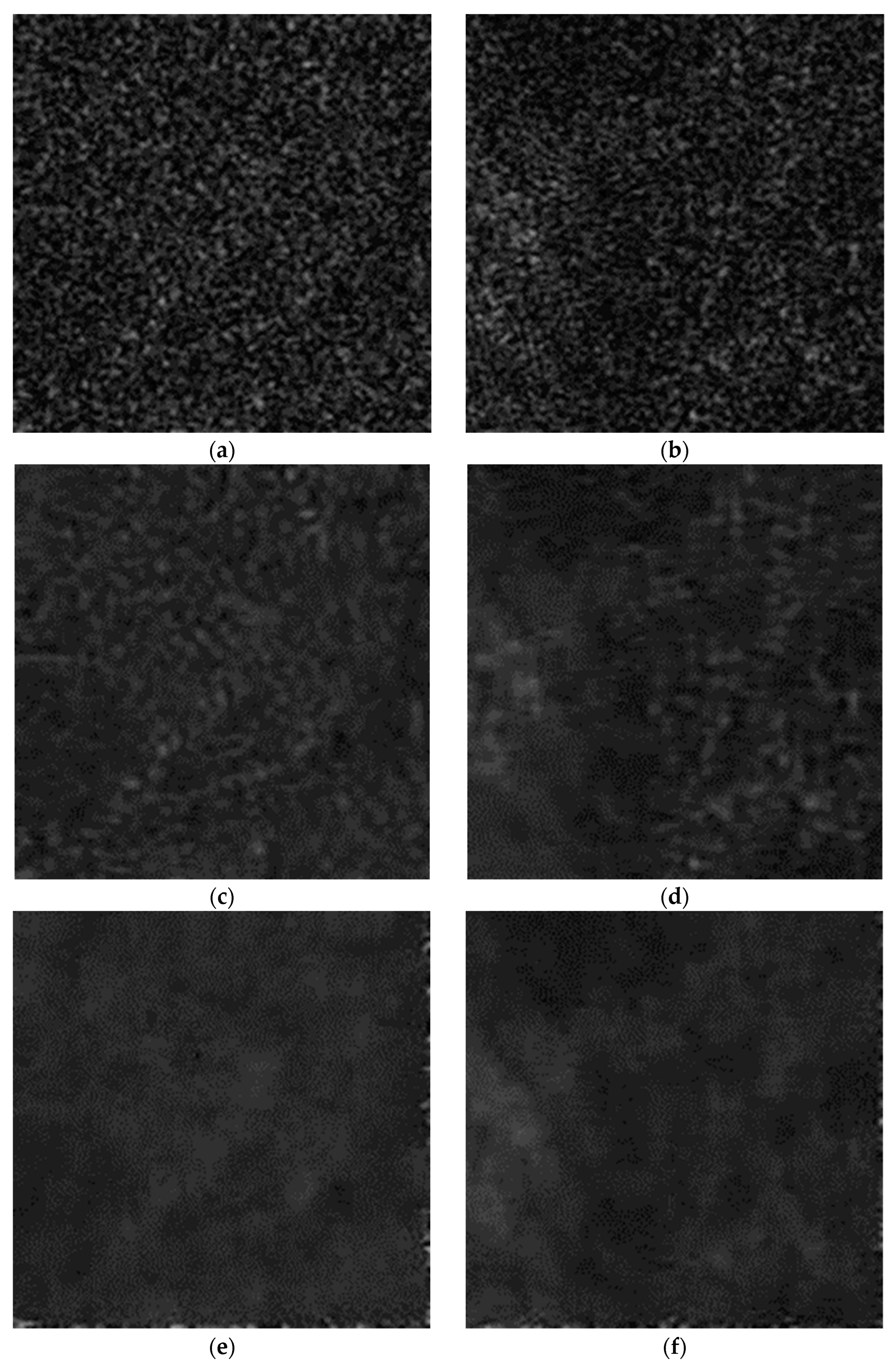 Remotesensing 15 04485 g009