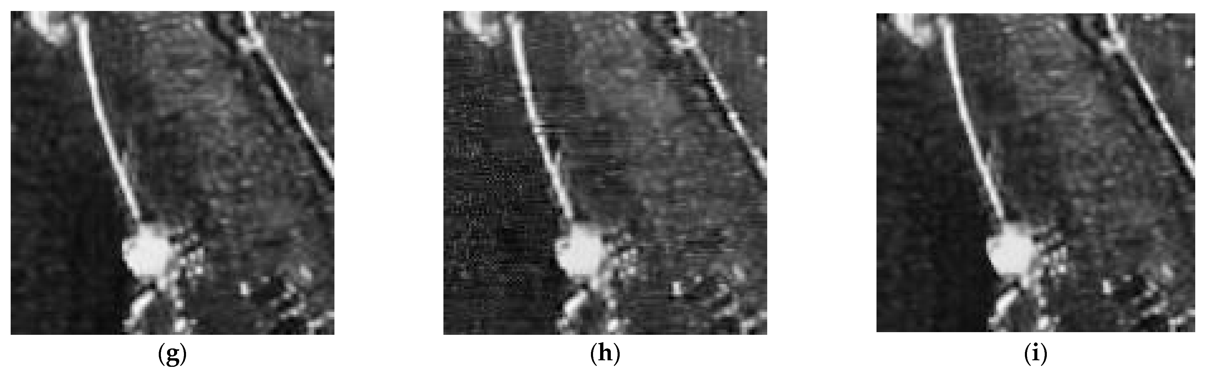 Remotesensing 15 04485 g011b