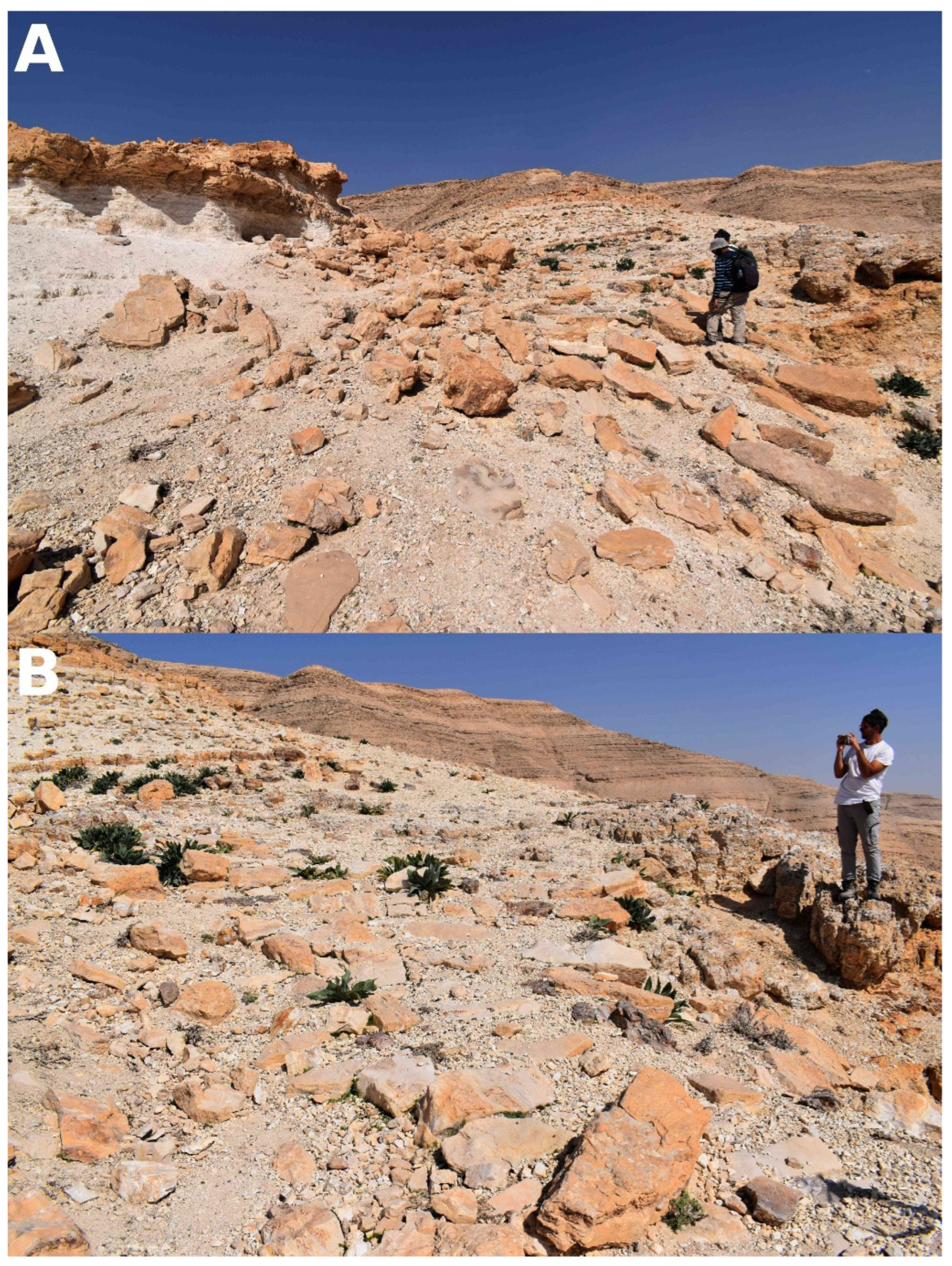 Remotesensing 15 04545 g017