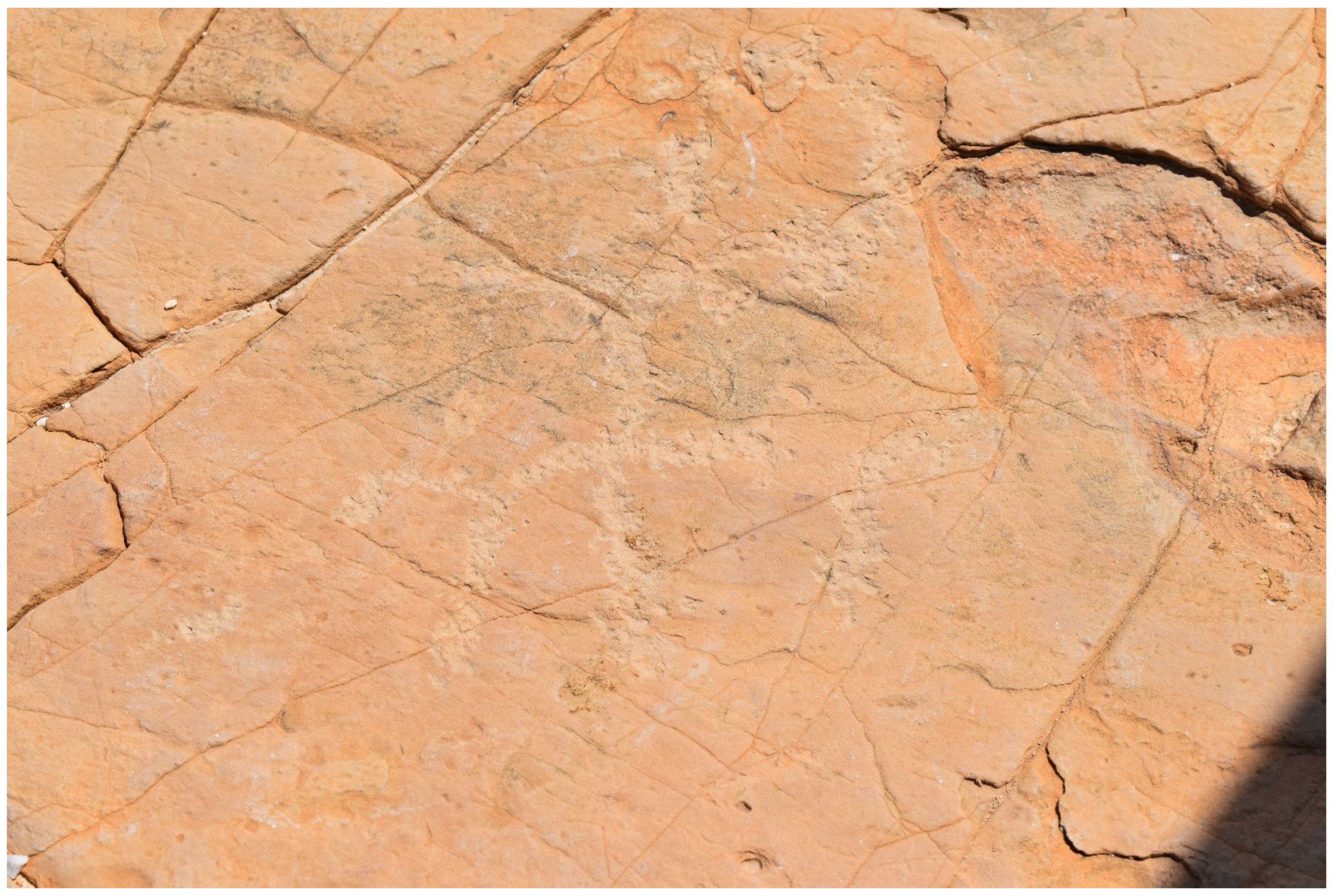 Remotesensing 15 04545 g018