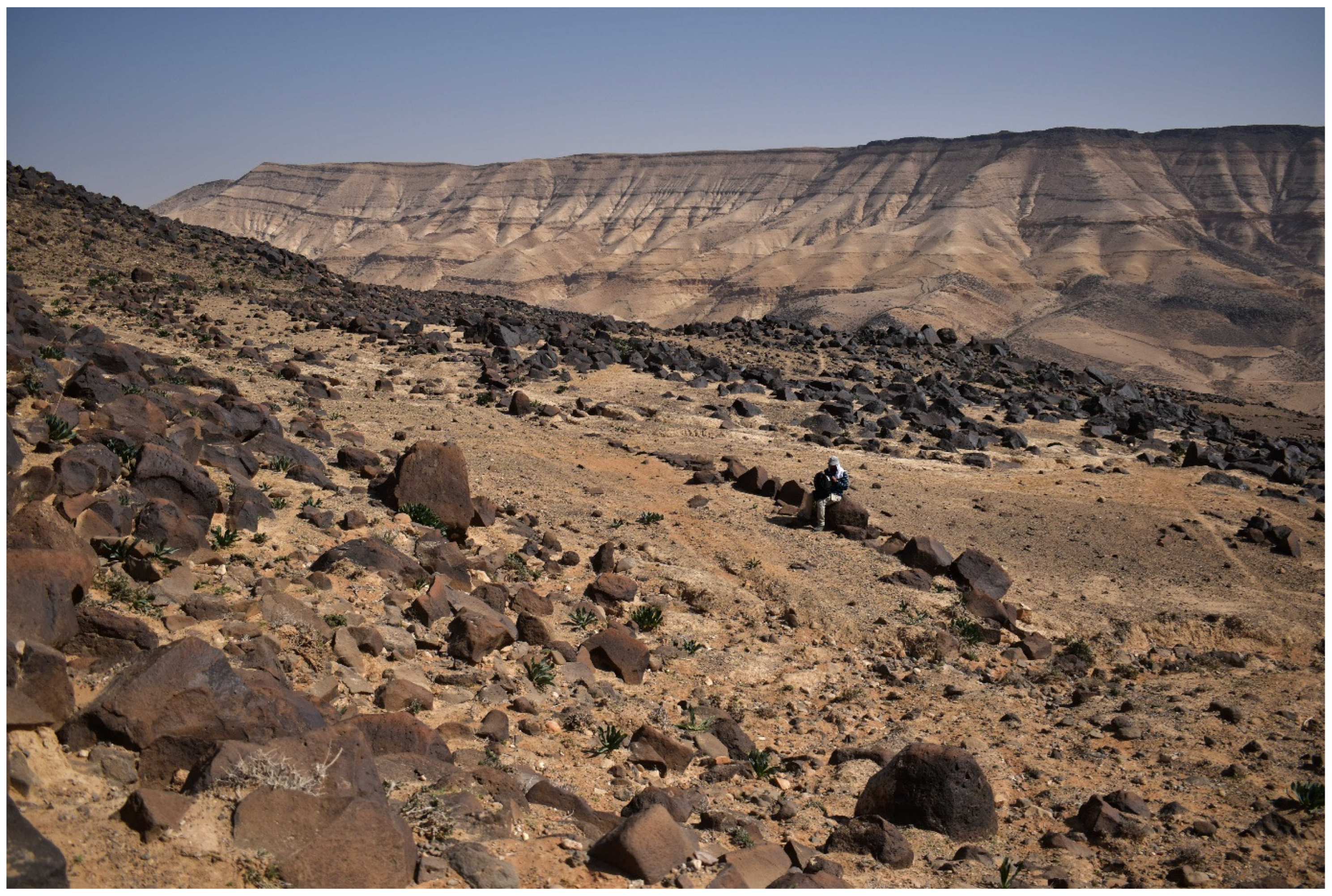 Remotesensing 15 04545 g022