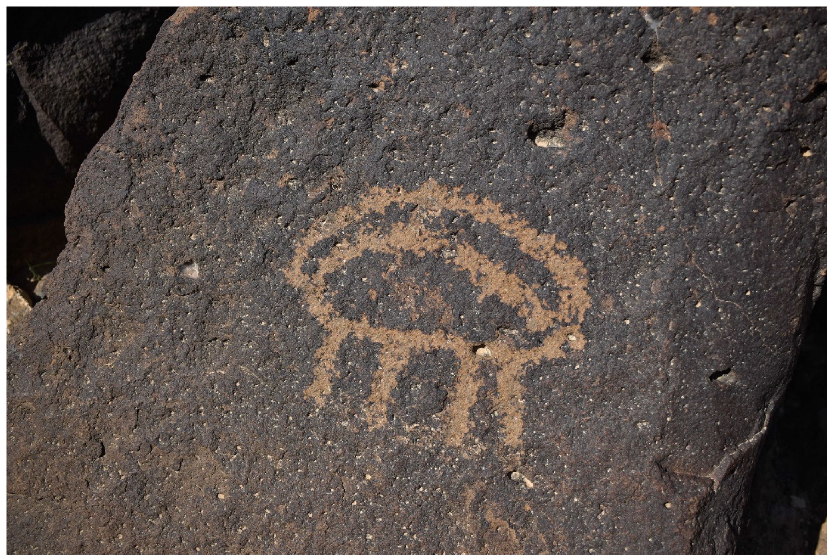 Remotesensing 15 04545 g025