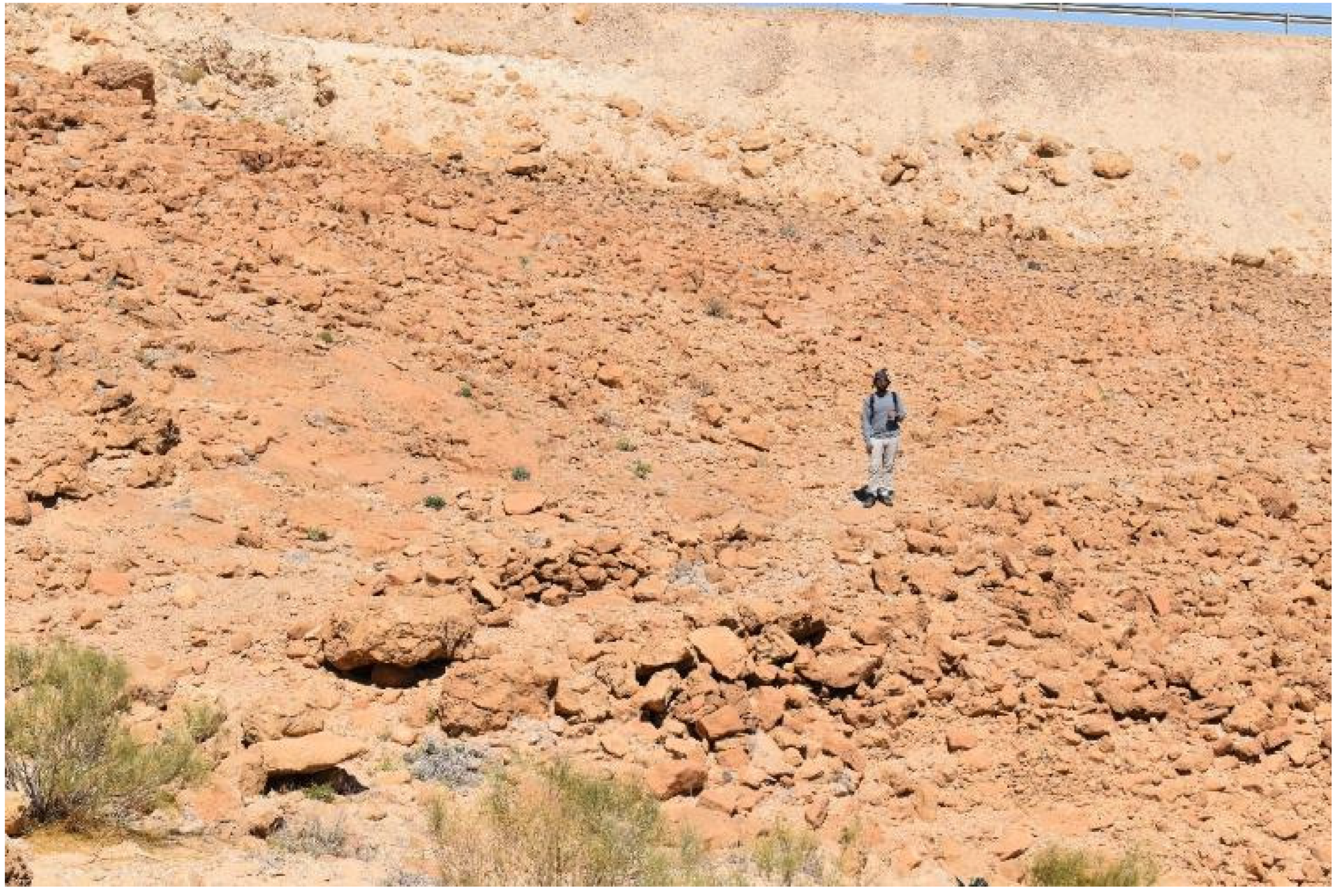 Remotesensing 15 04545 g033