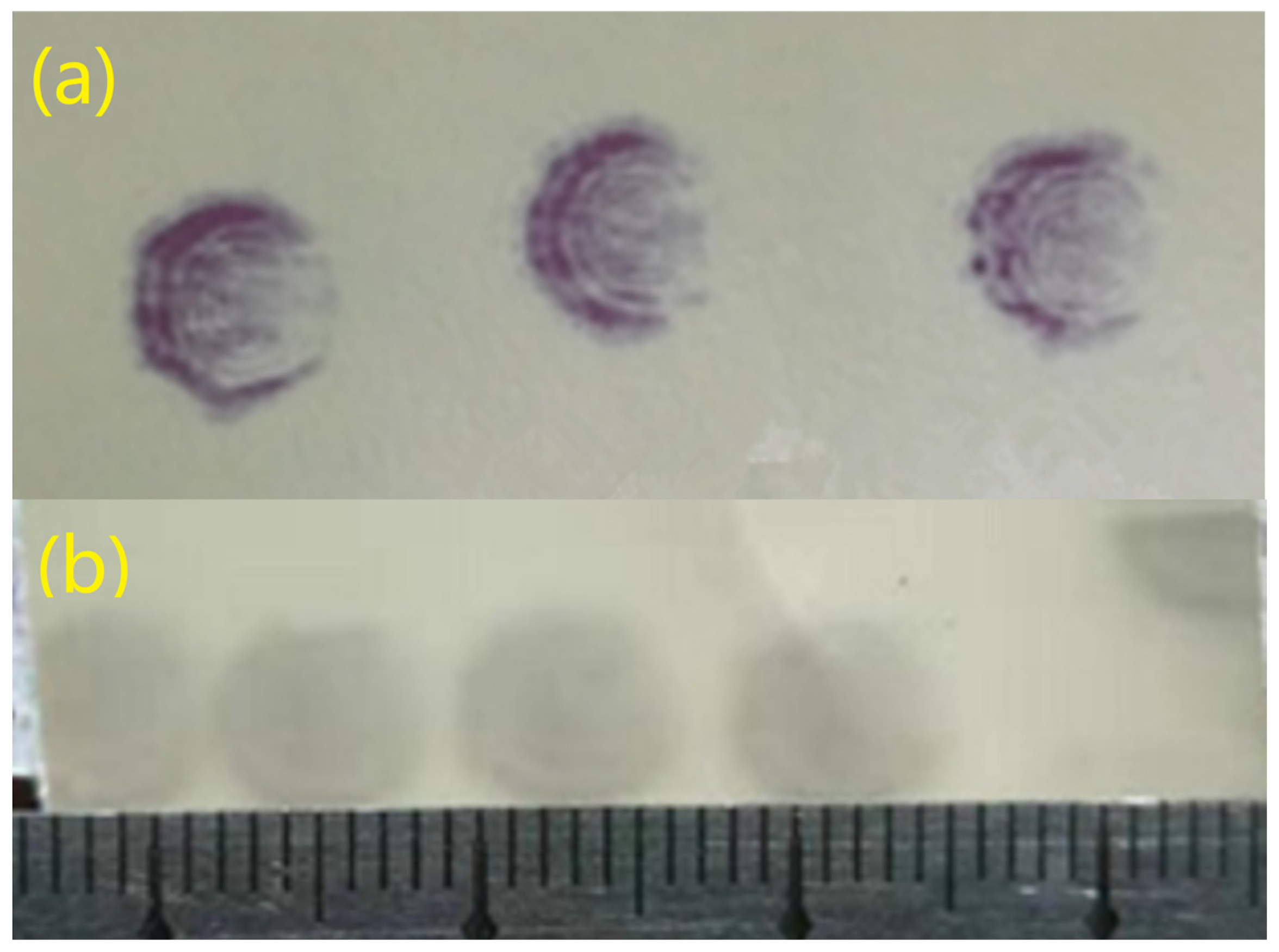 Remotesensing 15 04566 g006